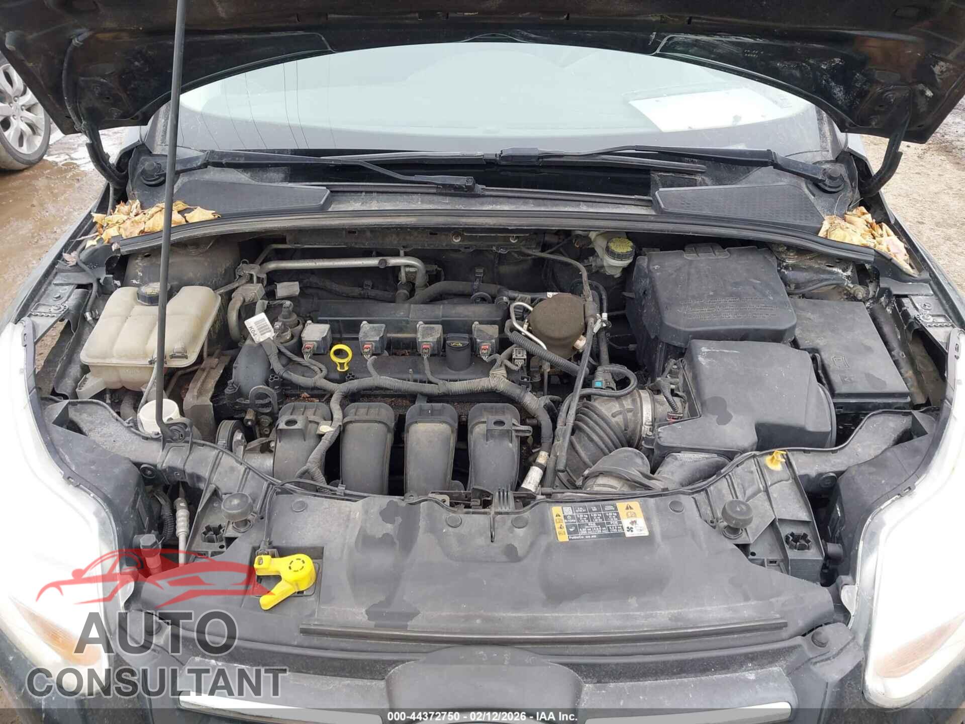 FORD FOCUS 2014 - 1FADP3F26EL401247