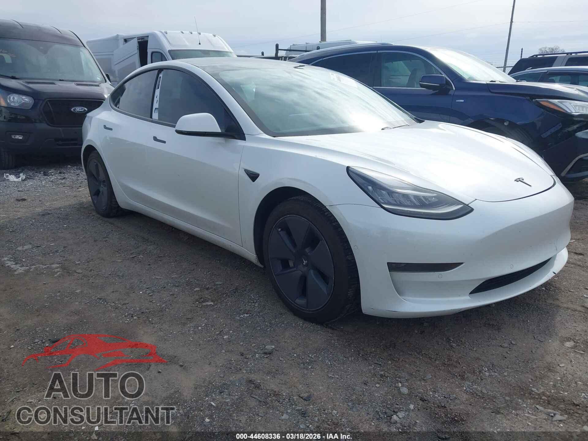 TESLA MODEL 3 2021 - 5YJ3E1EA5MF854186