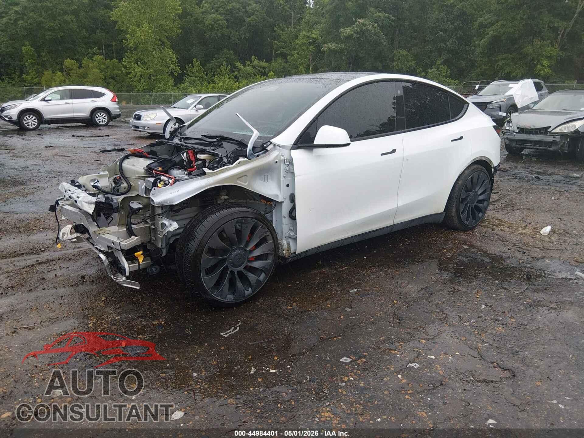 TESLA MODEL Y 2022 - 7SAYGDEF2NF564568