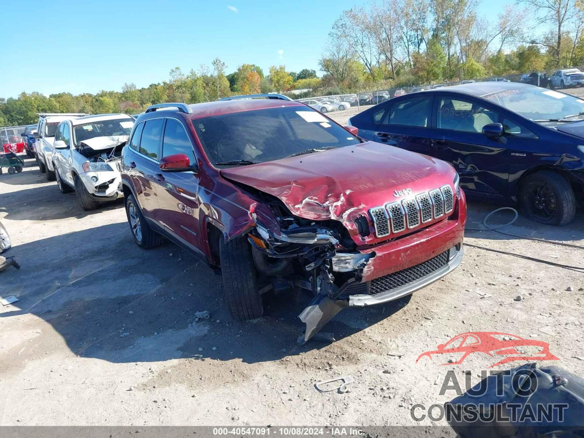 JEEP CHEROKEE 2019 - 1C4PJLLX0KD241221
