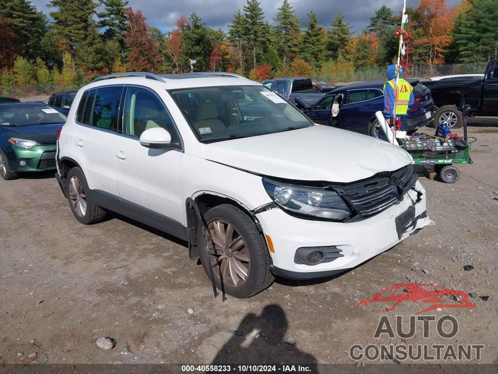 VOLKSWAGEN TIGUAN 2013 - WVGBV3AX1DW607966