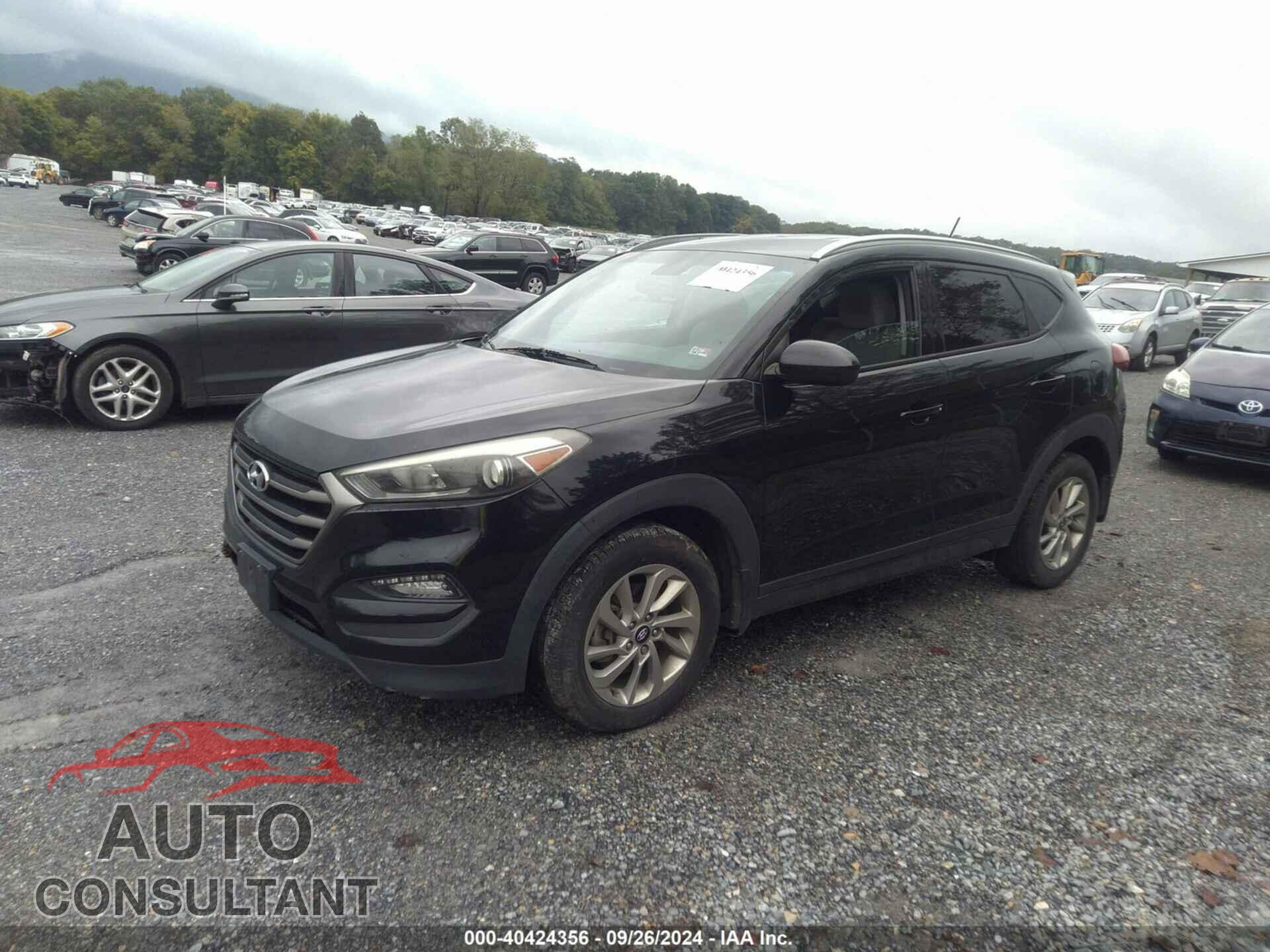 HYUNDAI TUCSON 2016 - KM8J3CA45GU036392