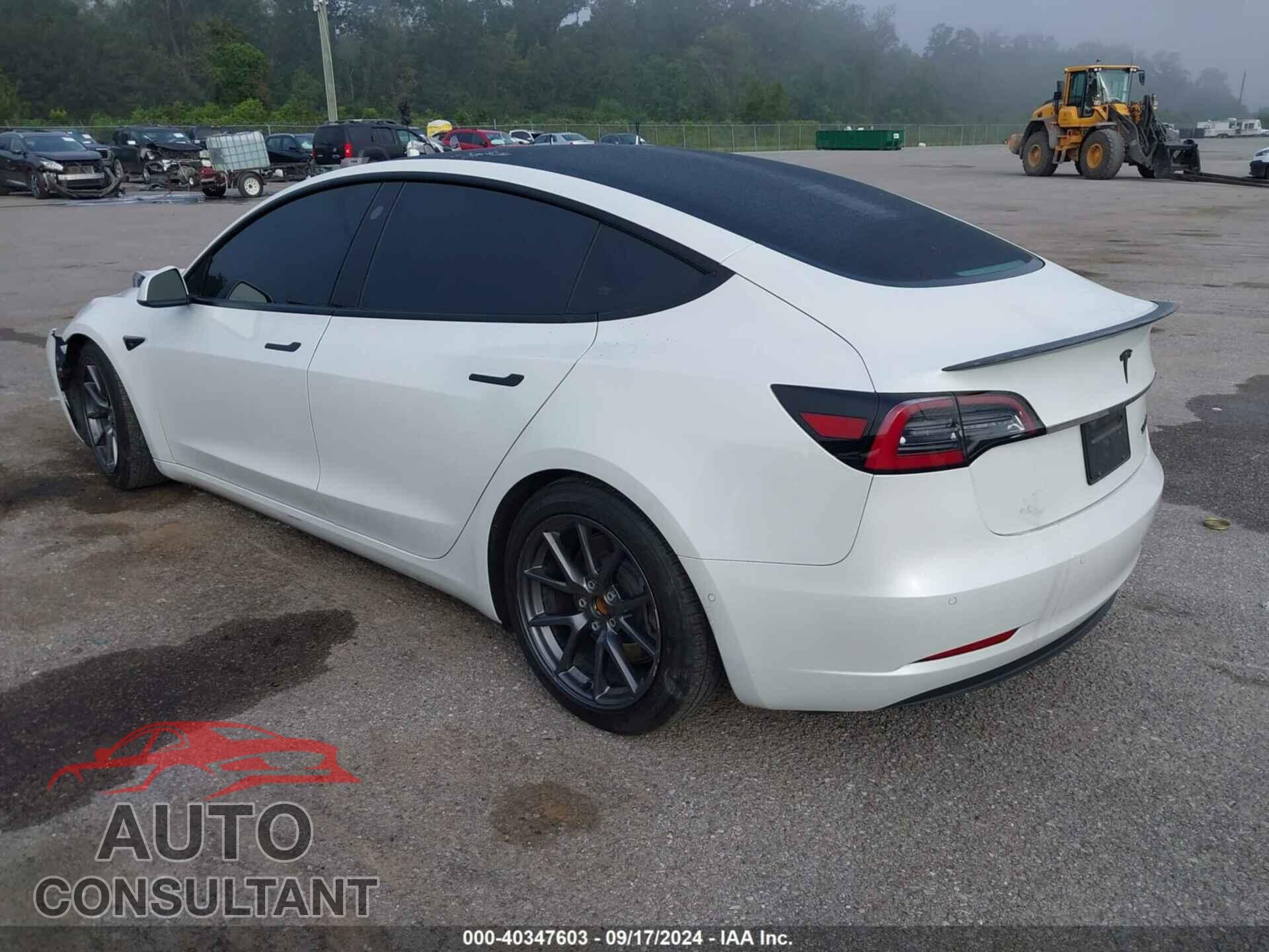 TESLA MODEL 3 2021 - 5YJ3E1EB7MF903400