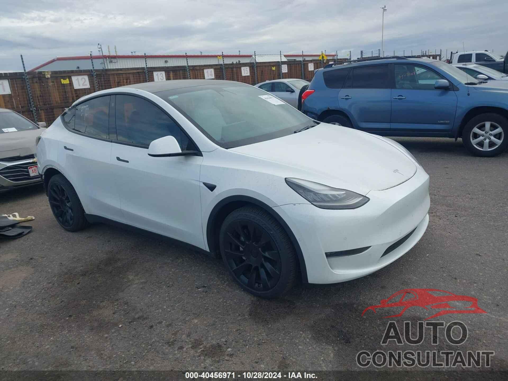 TESLA MODEL Y 2021 - 5YJYGDEE2MF074246