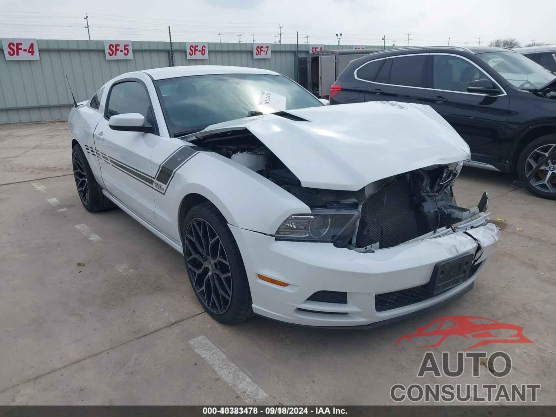 FORD MUSTANG 2014 - 1ZVBP8CFXE5288006