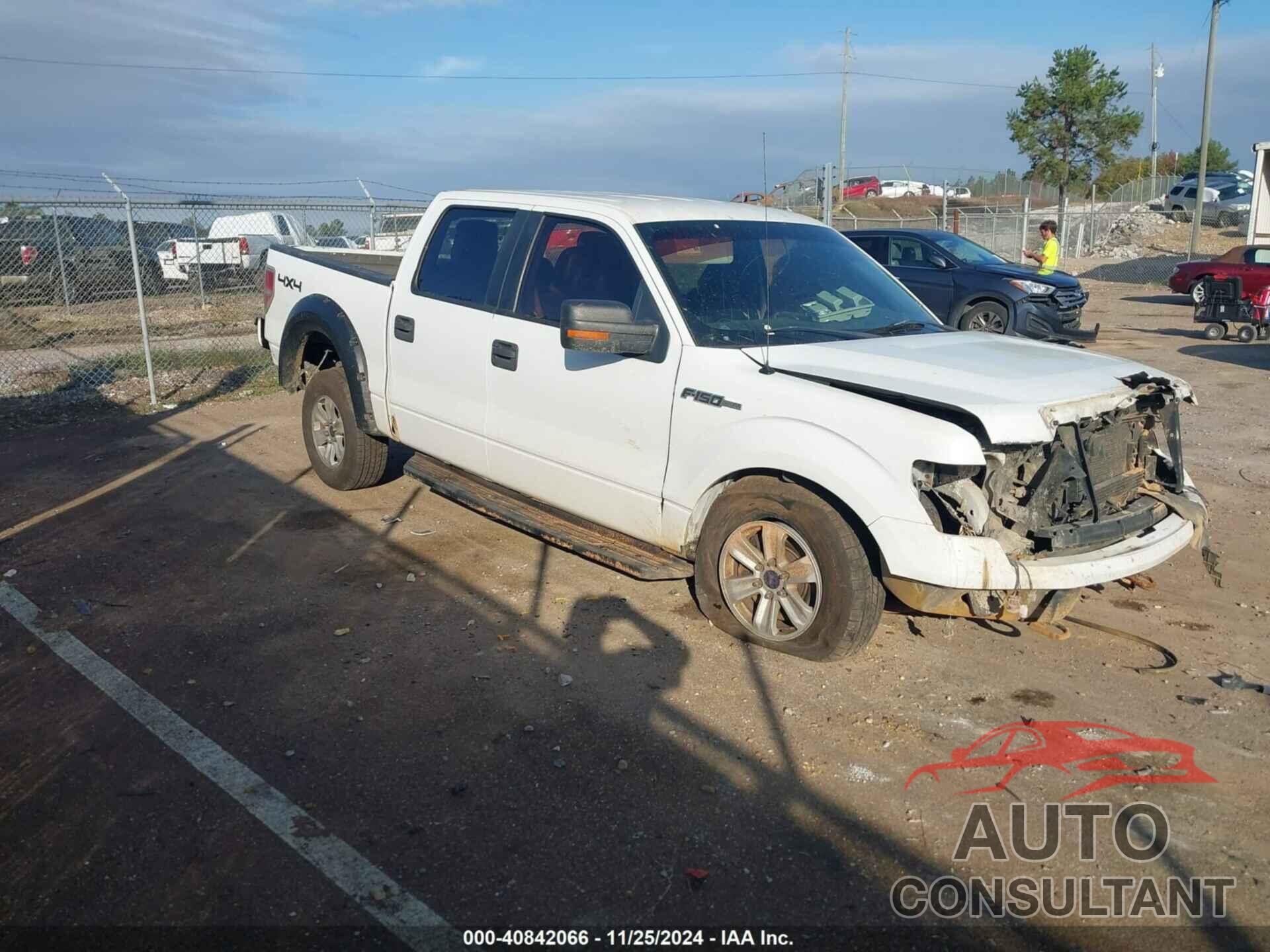 FORD F-150 2010 - 1FTFW1EV8AKC51535