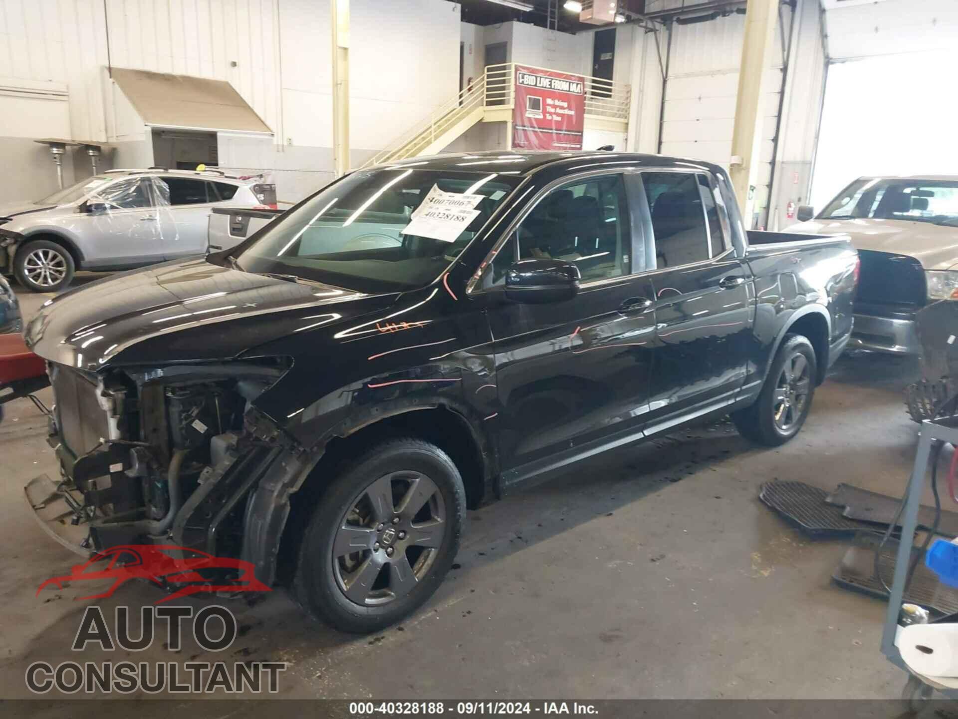 HONDA RIDGELINE 2019 - 5FPYK3F55KB044332