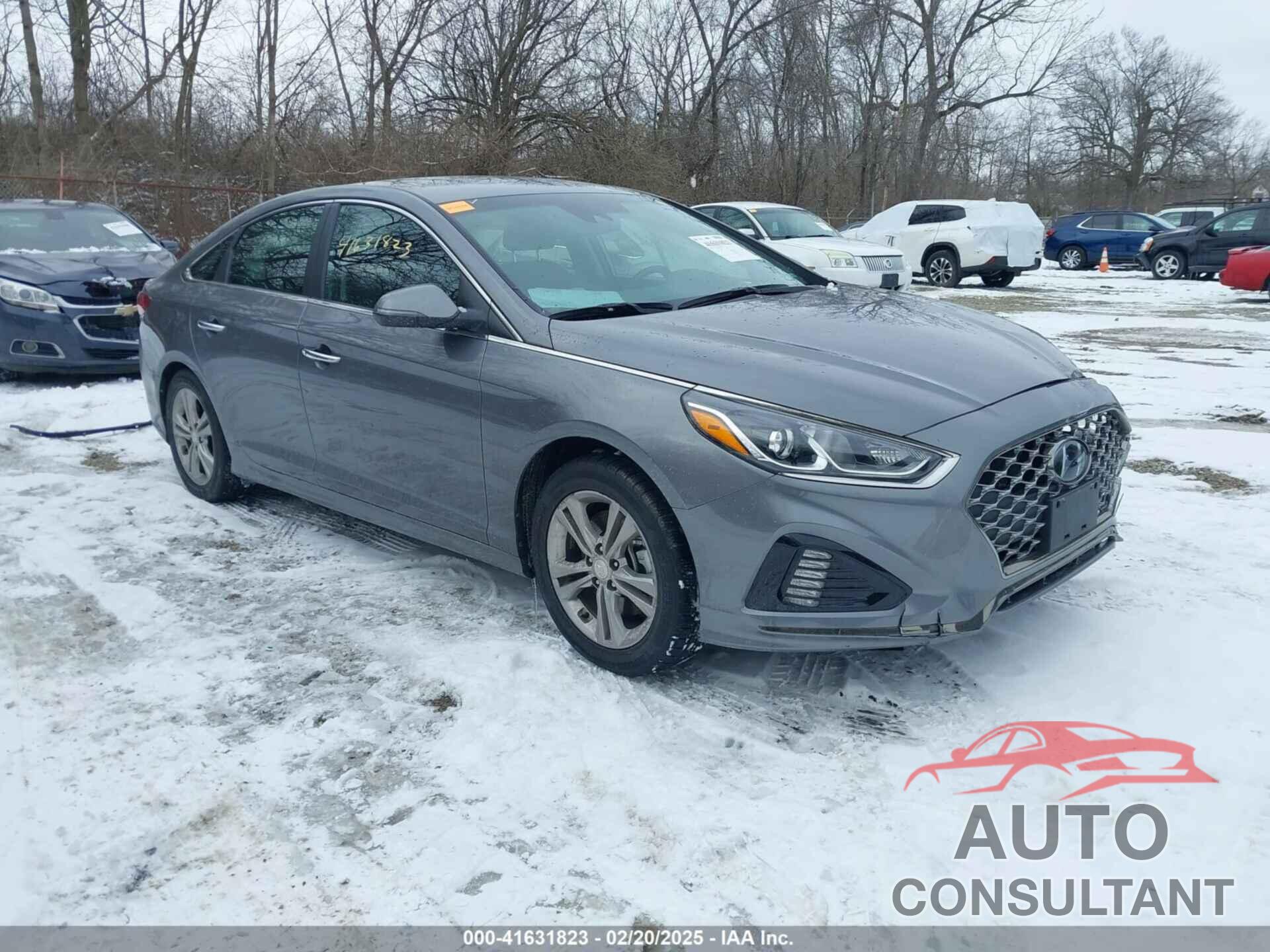 HYUNDAI SONATA 2019 - 5NPE34AF2KH816737