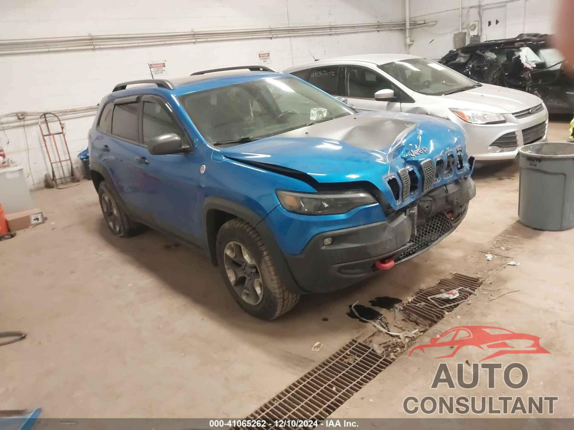 JEEP CHEROKEE 2019 - 1C4PJMBX1KD256916