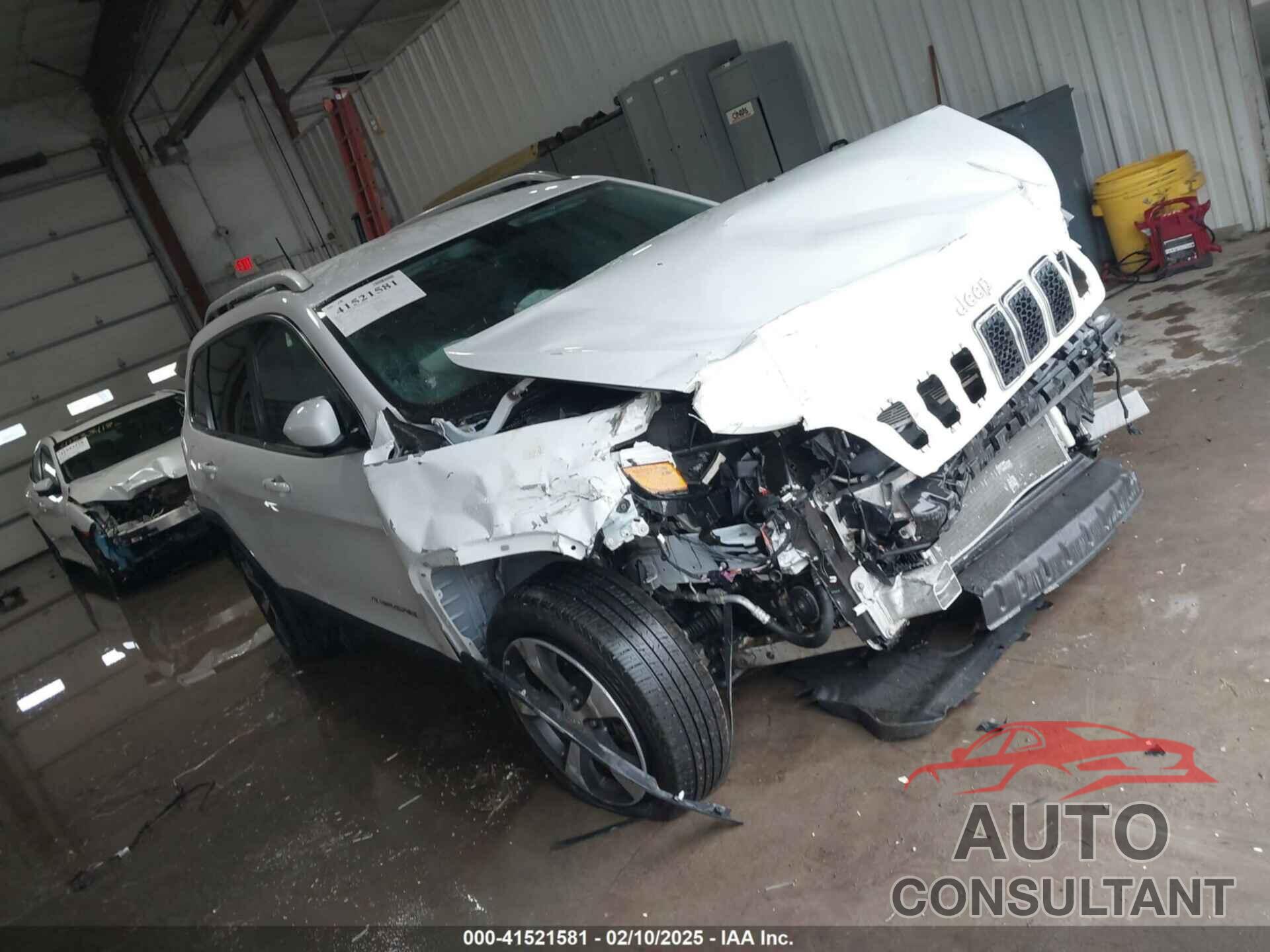JEEP CHEROKEE 2019 - 1C4PJLDB6KD114282