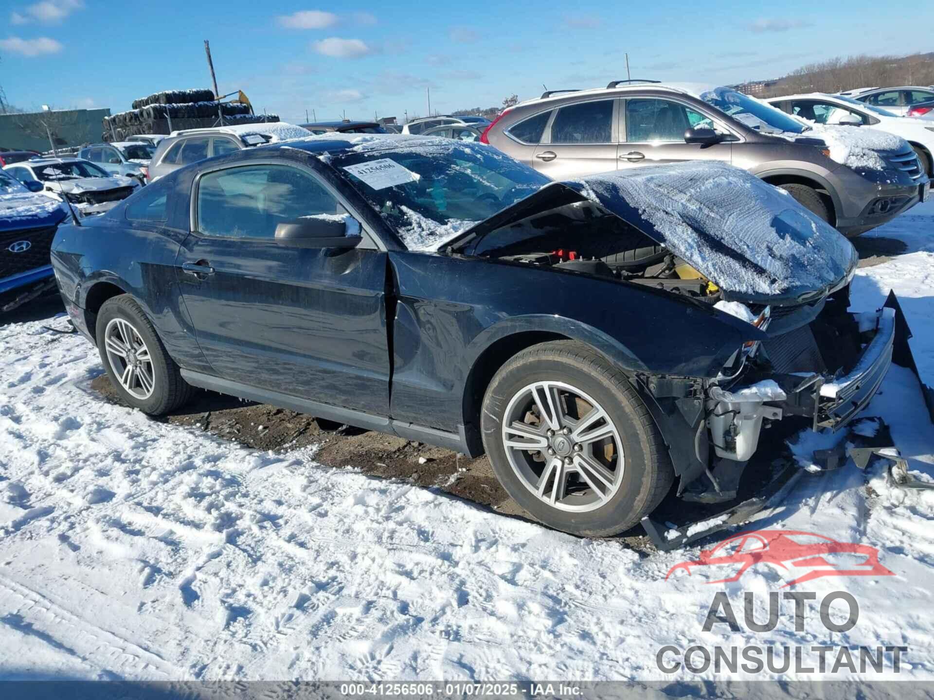 FORD MUSTANG 2011 - 1ZVBP8AM8B5155340