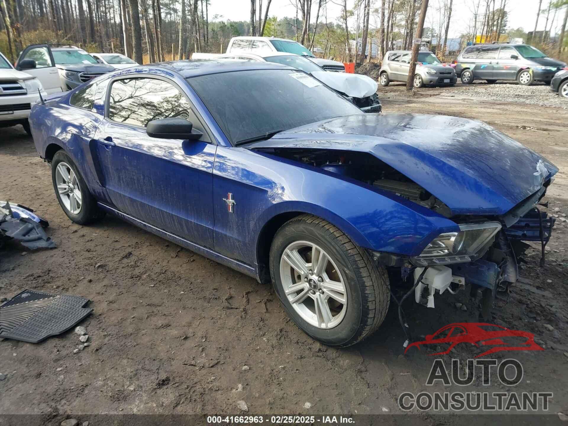 FORD MUSTANG 2014 - 1ZVBP8AM8E5331159