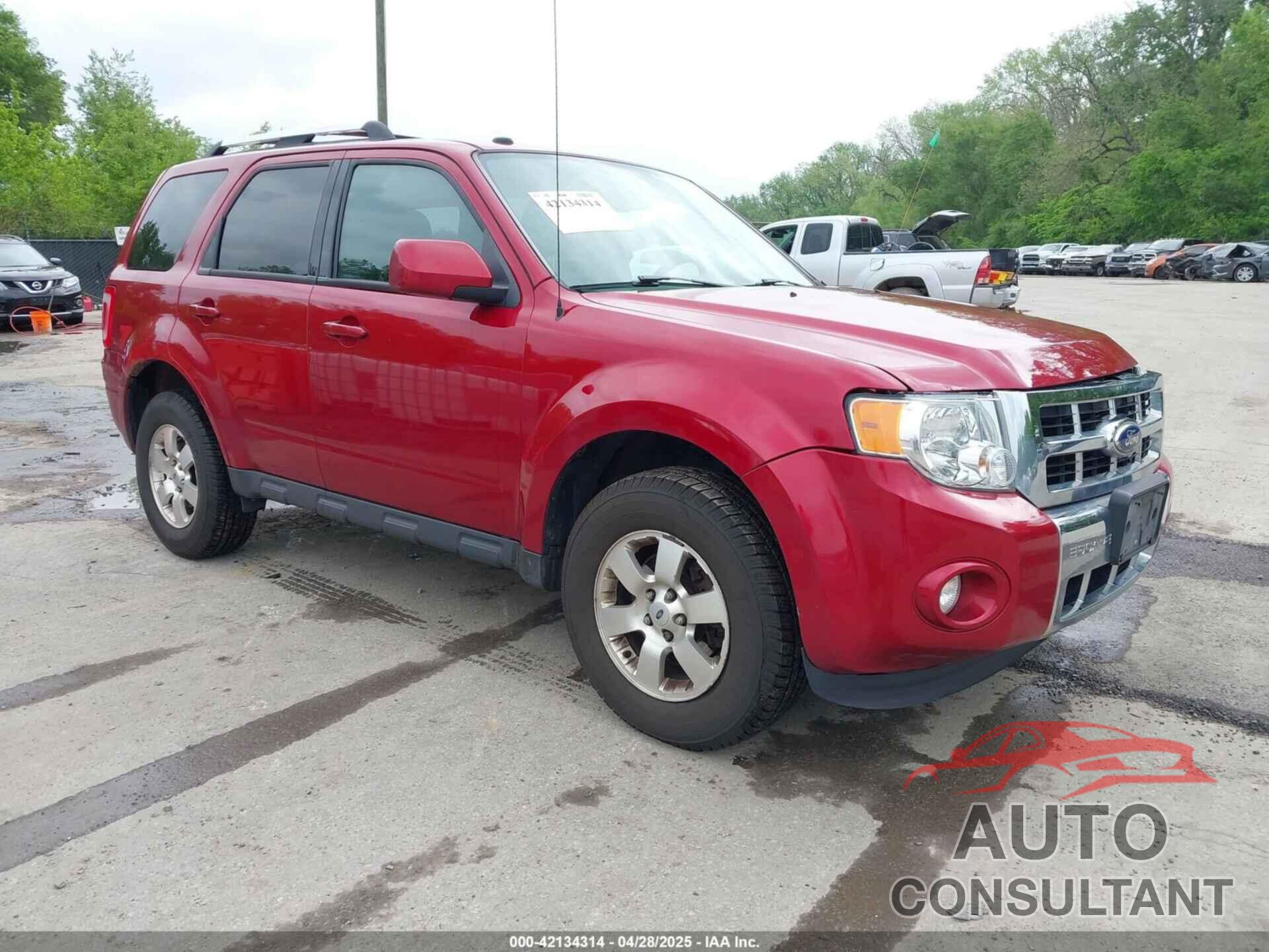 FORD ESCAPE 2012 - 1FMCU9EG2CKB53902