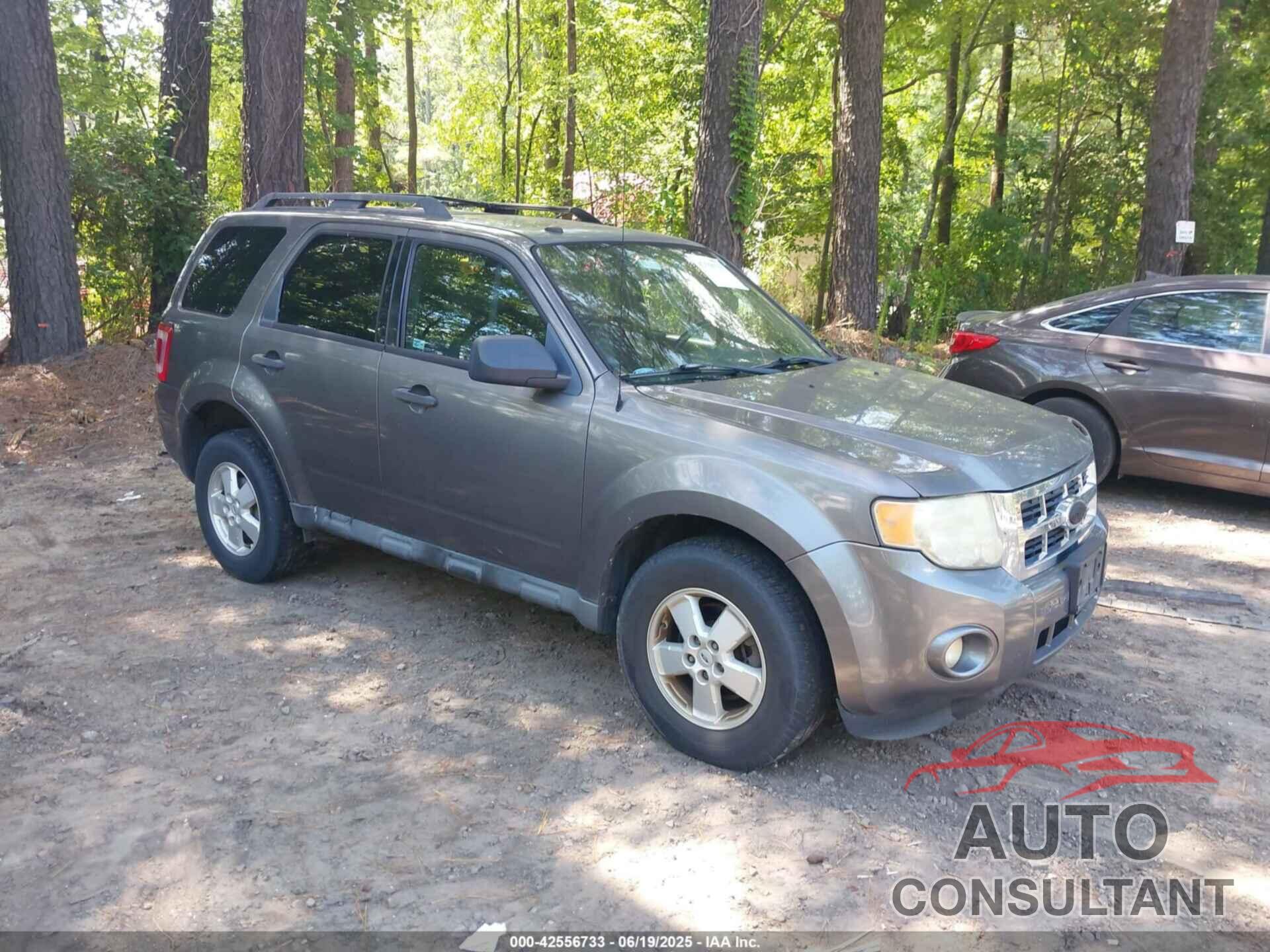 FORD ESCAPE 2010 - 1FMCU0D77AKC65556