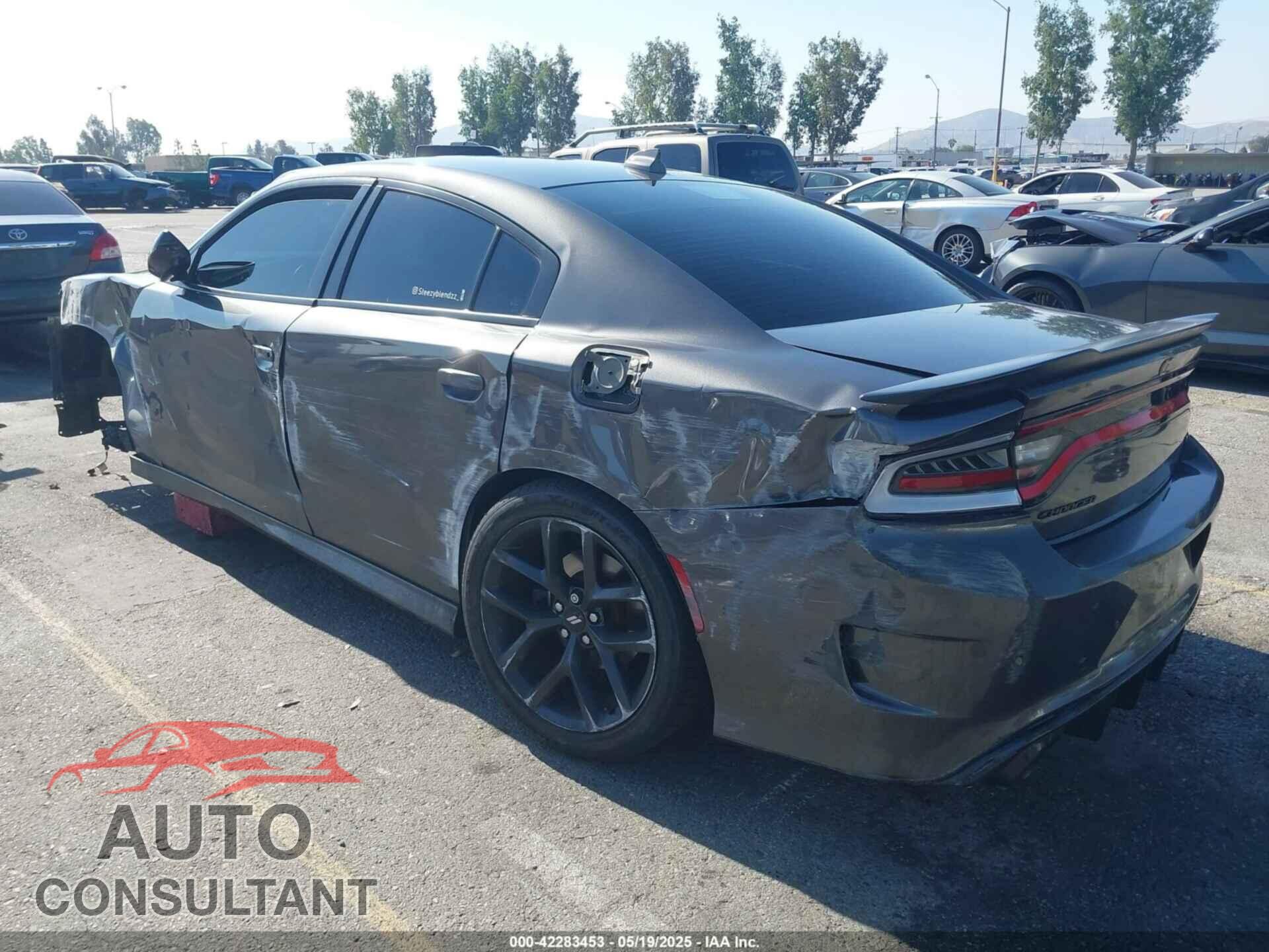 DODGE CHARGER 2019 - 2C3CDXCT7KH527732
