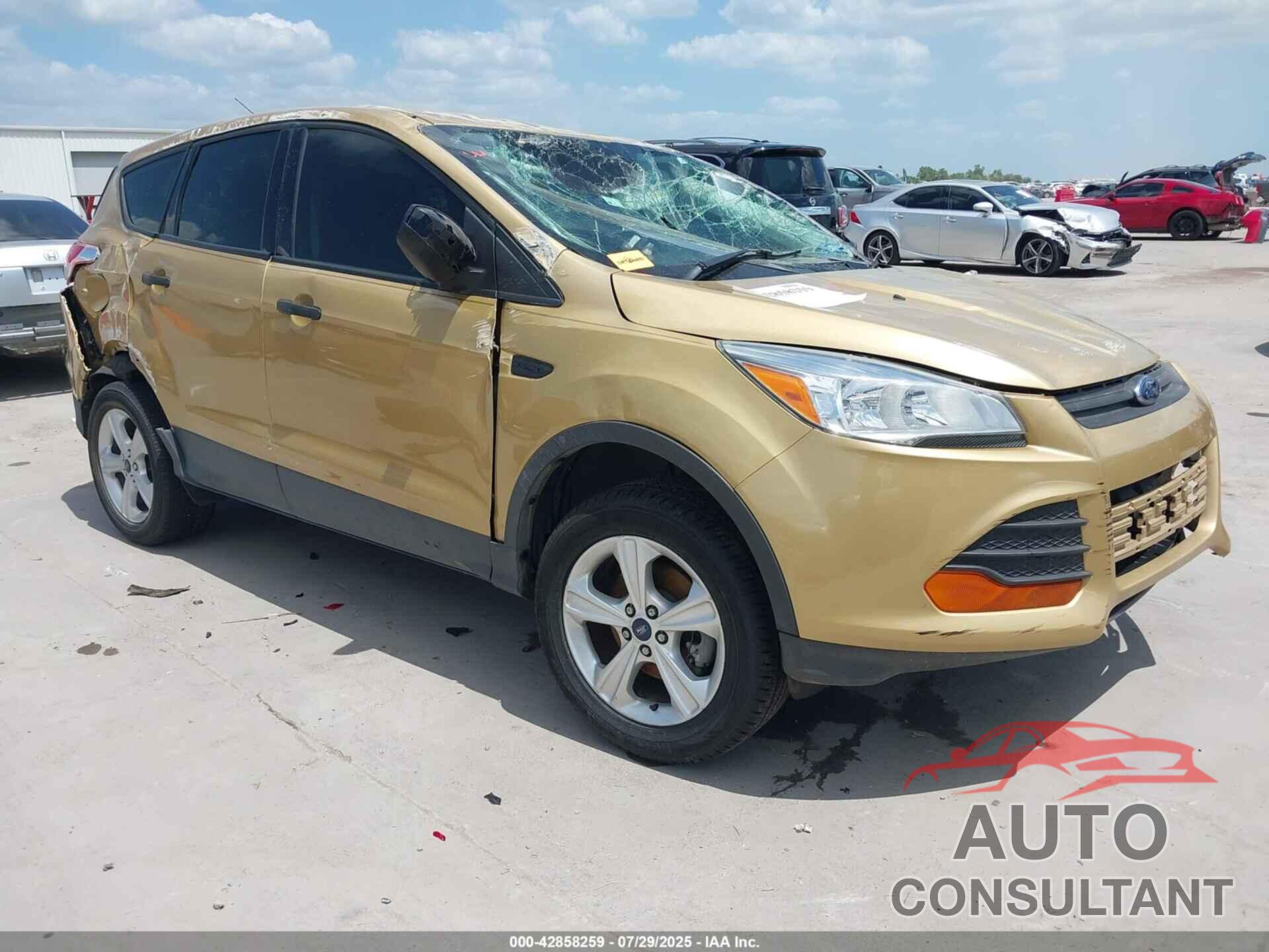 FORD ESCAPE 2014 - 1FMCU0F76EUE12036