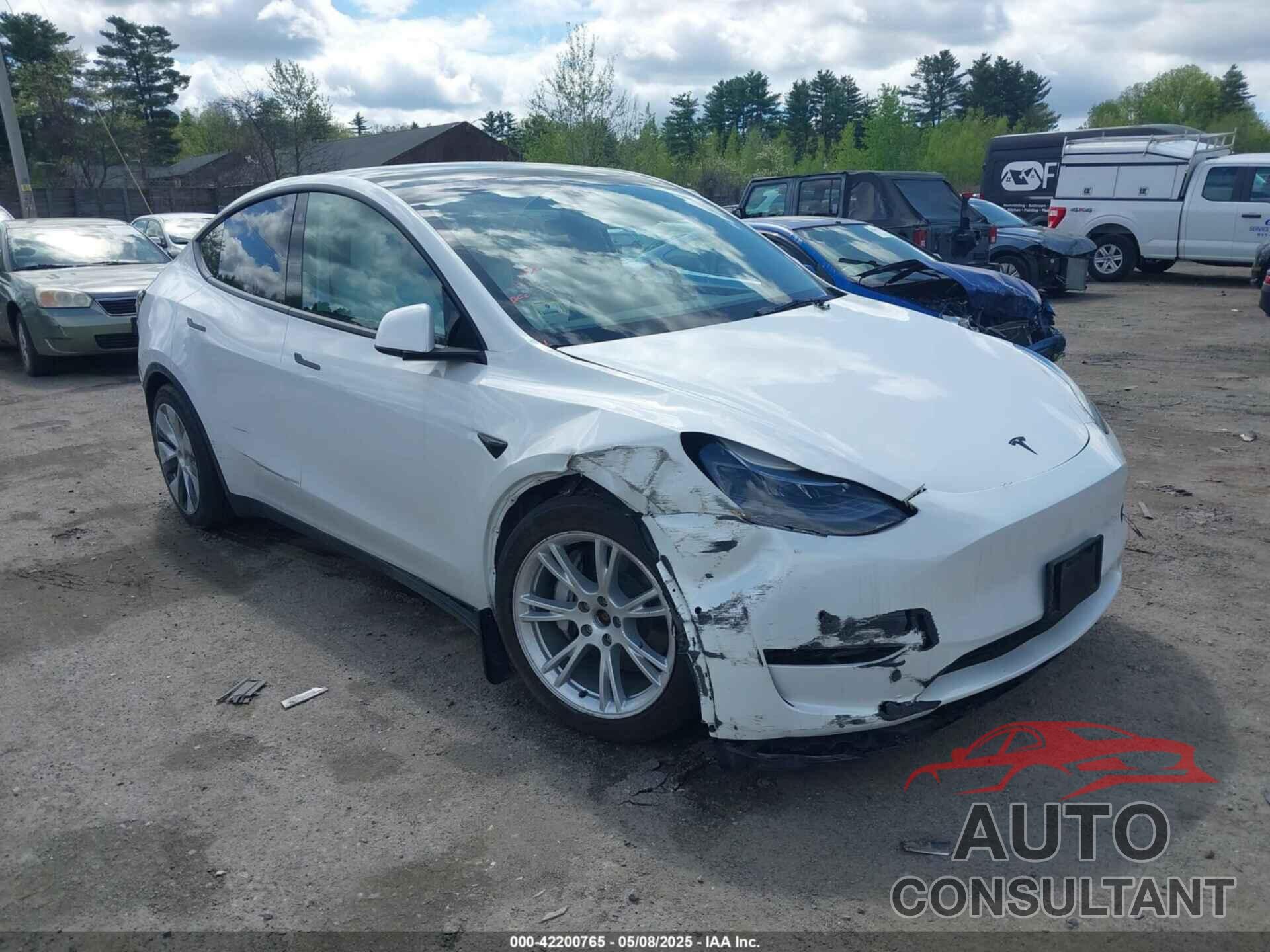TESLA MODEL Y 2022 - 7SAYGDEE3NF533773