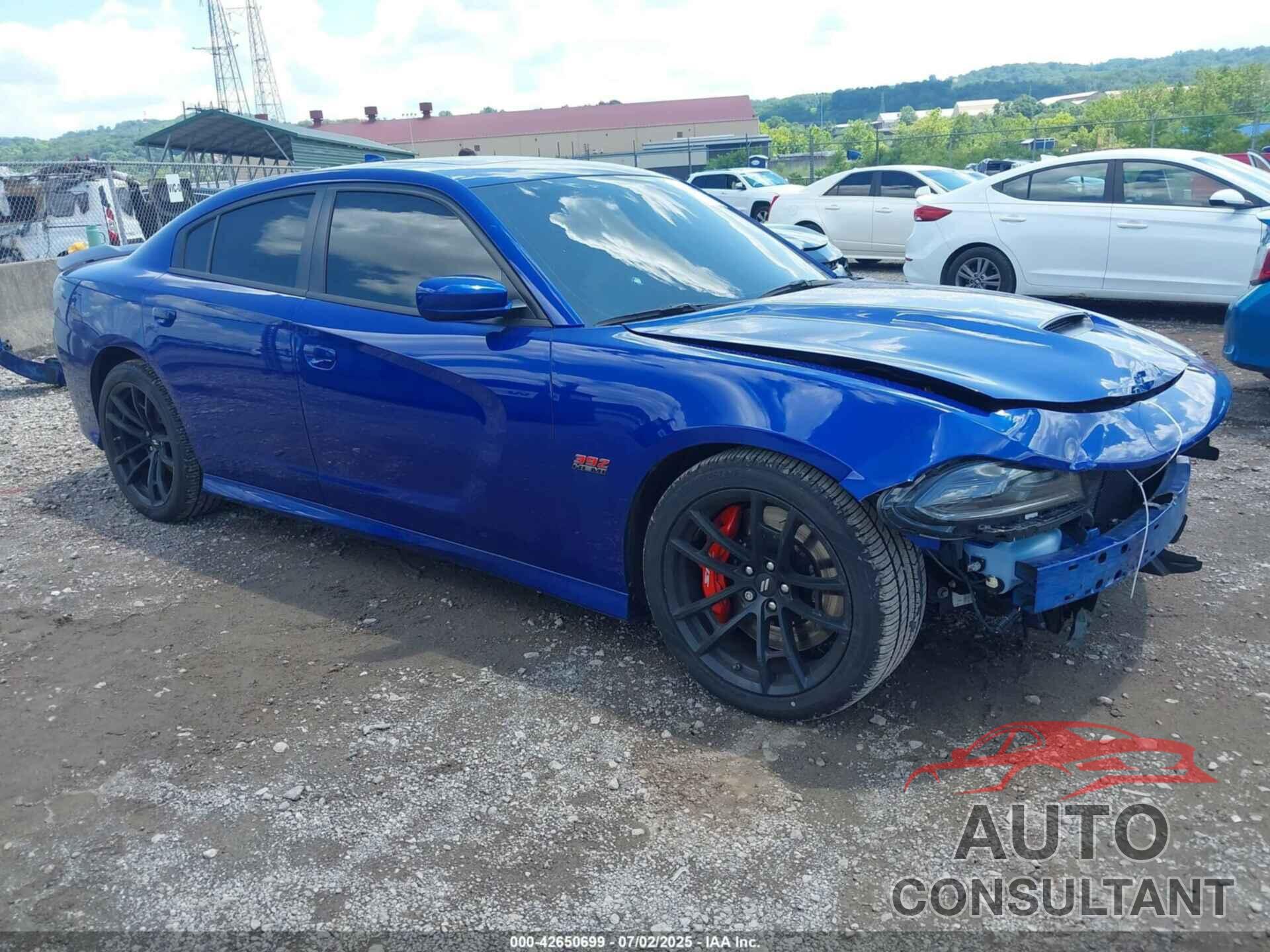 DODGE CHARGER 2021 - 2C3CDXGJ2MH542246