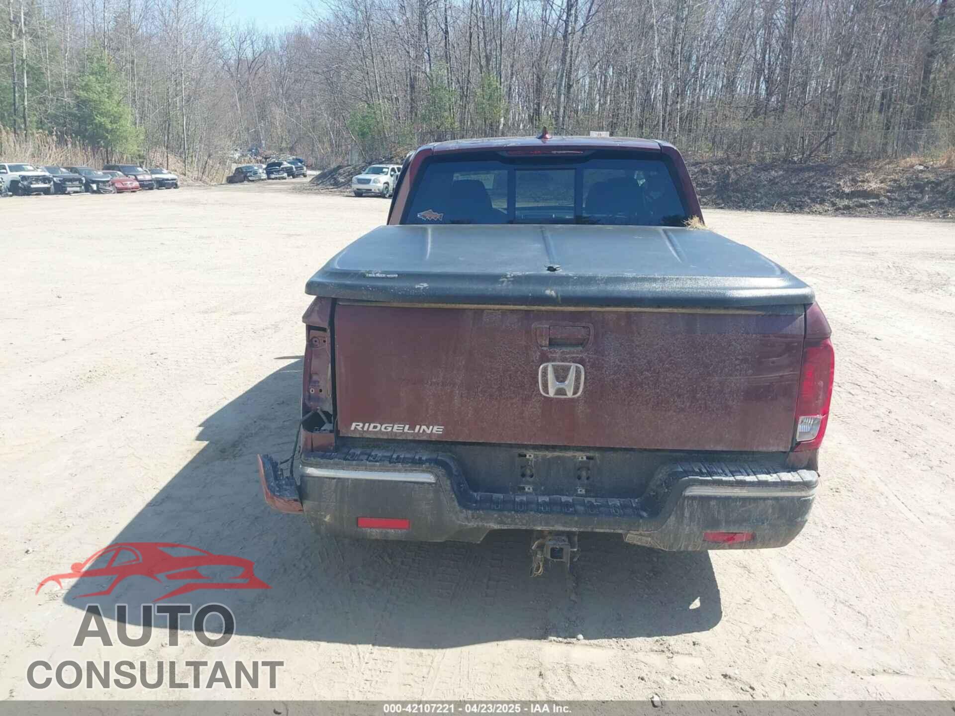 HONDA RIDGELINE 2019 - 5FPYK2F59KB003664