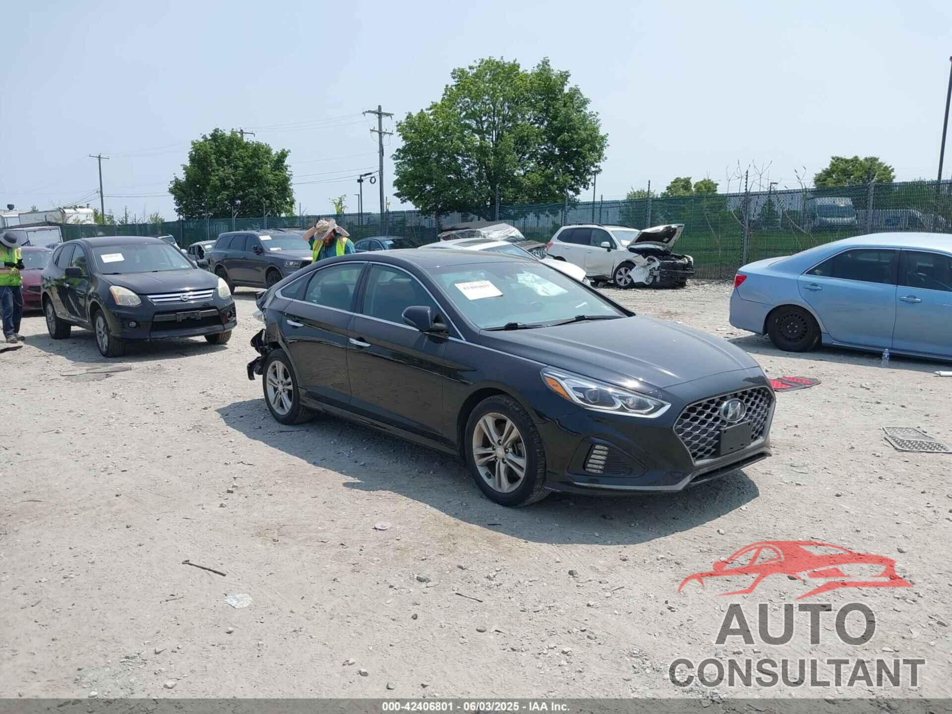 HYUNDAI SONATA 2019 - 5NPE34AF8KH774980