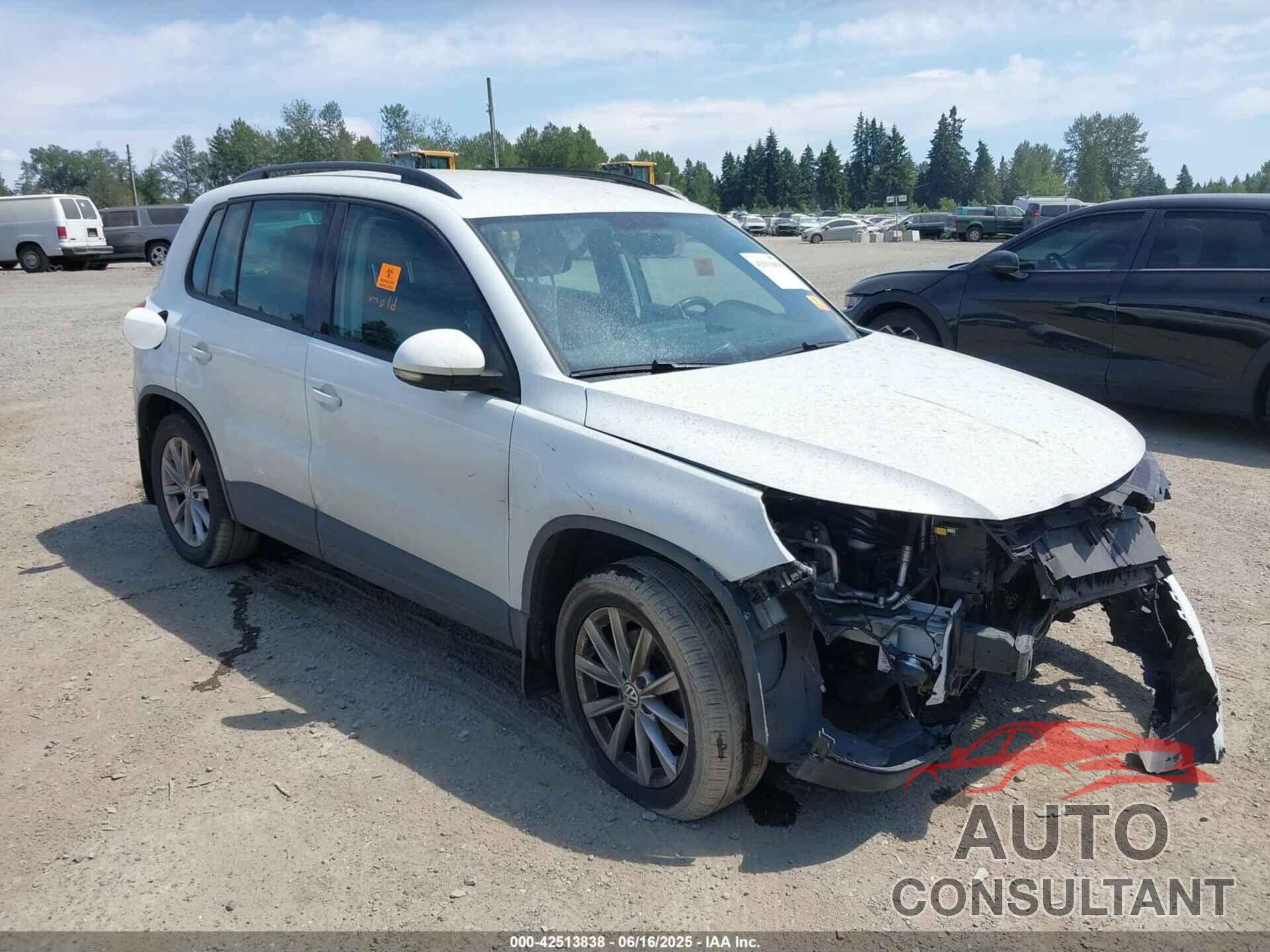 VOLKSWAGEN TIGUAN 2017 - WVGBV7AX3HK043855
