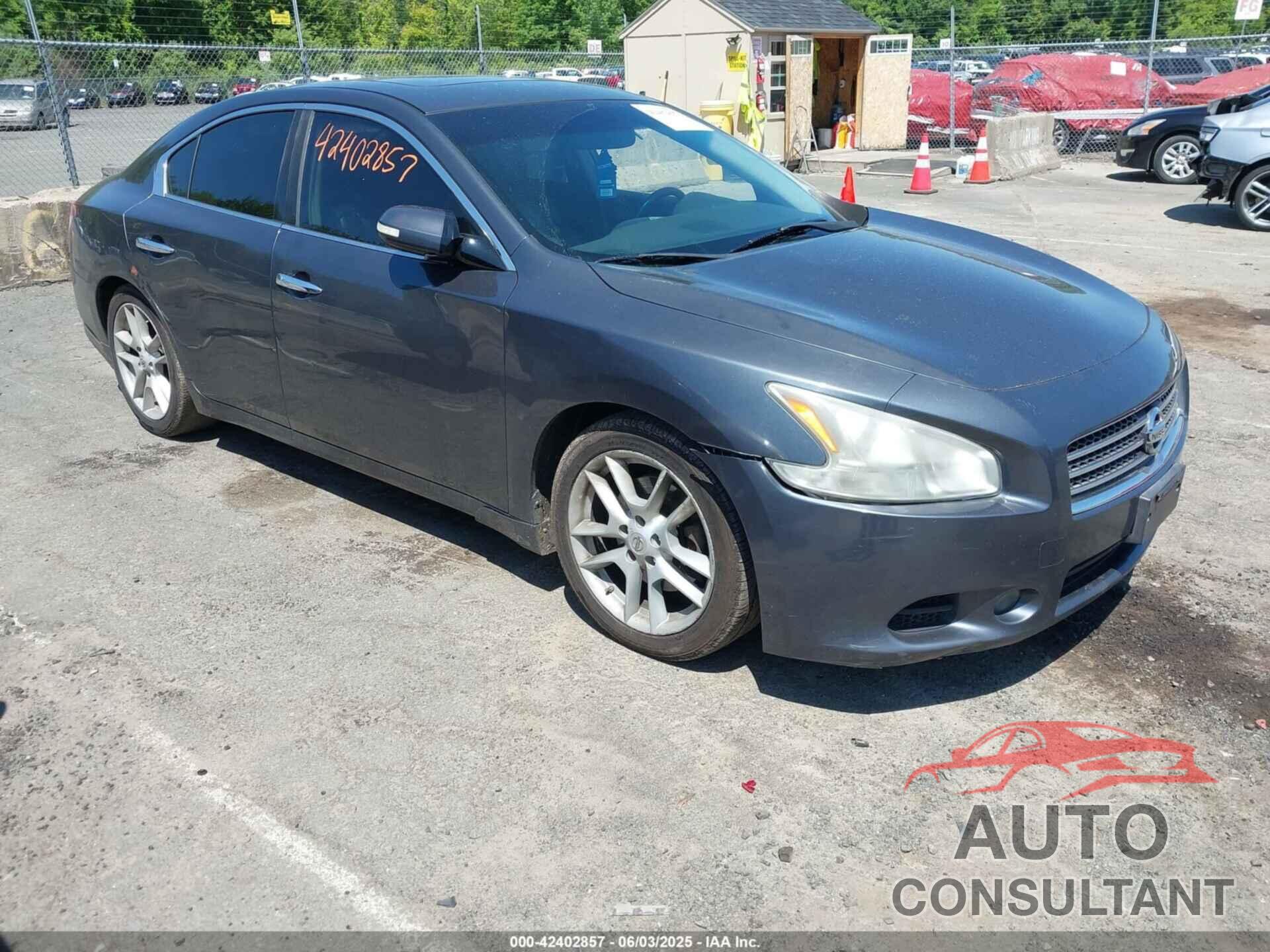 NISSAN MAXIMA 2010 - 1N4AA5AP8AC841970