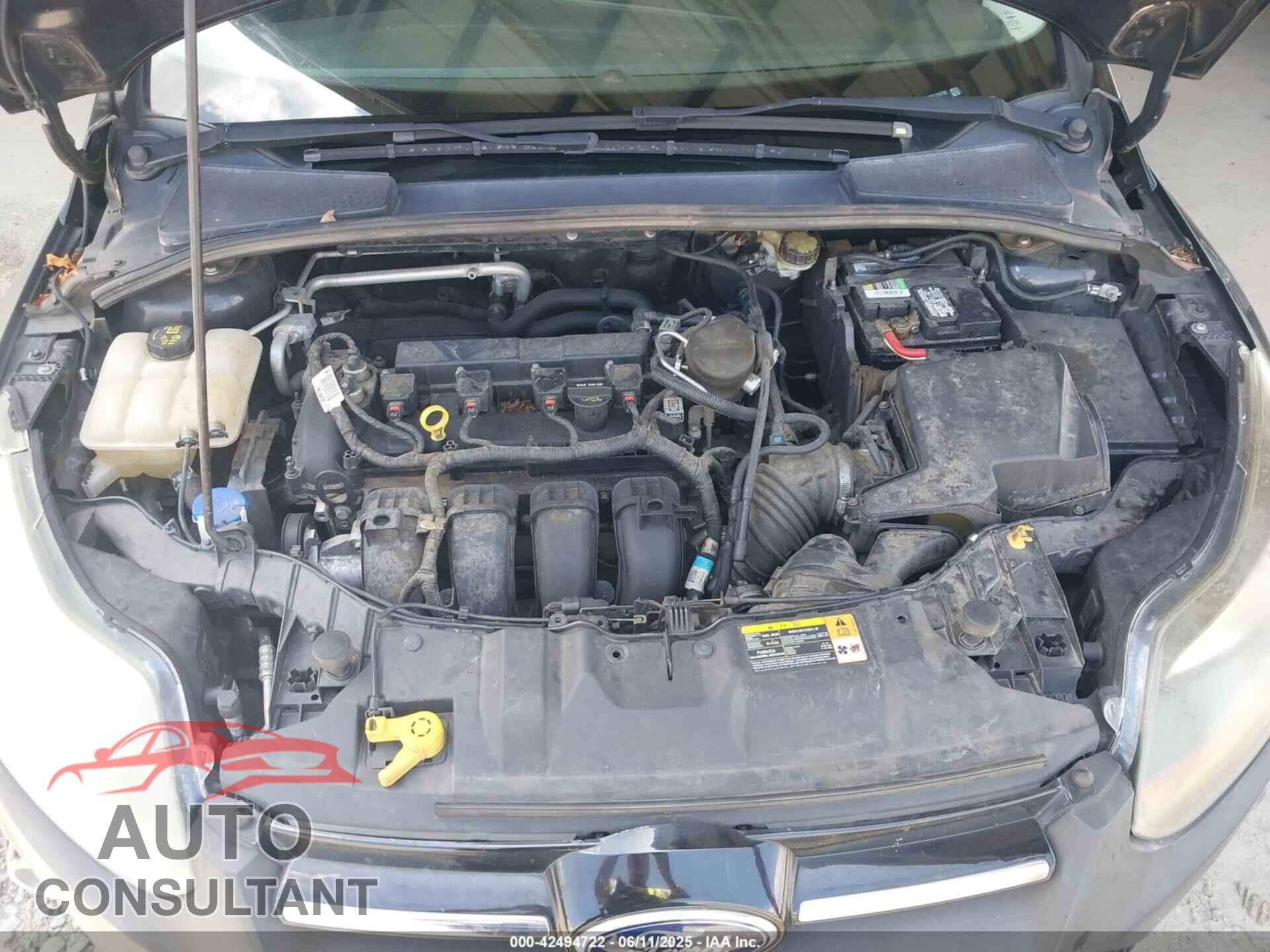 FORD FOCUS 2014 - 1FADP3F29EL215735