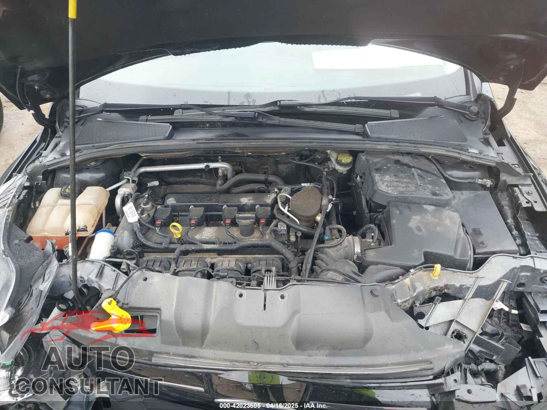 FORD FOCUS 2014 - 1FADP3N26EL369997