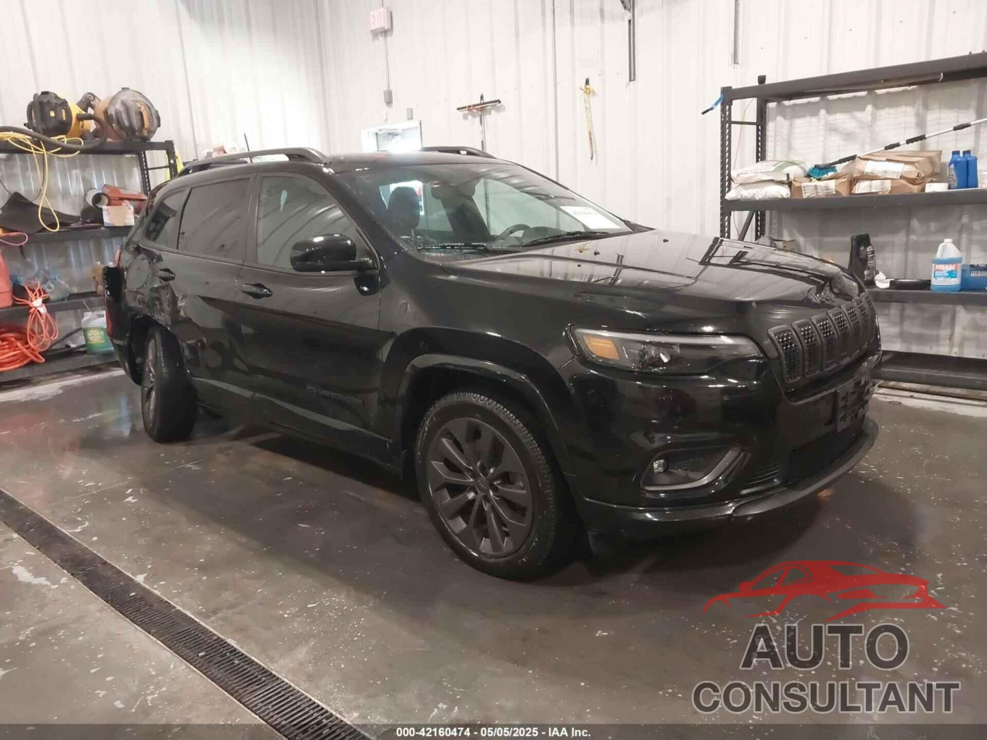 JEEP CHEROKEE 2019 - 1C4PJMDN3KD343910