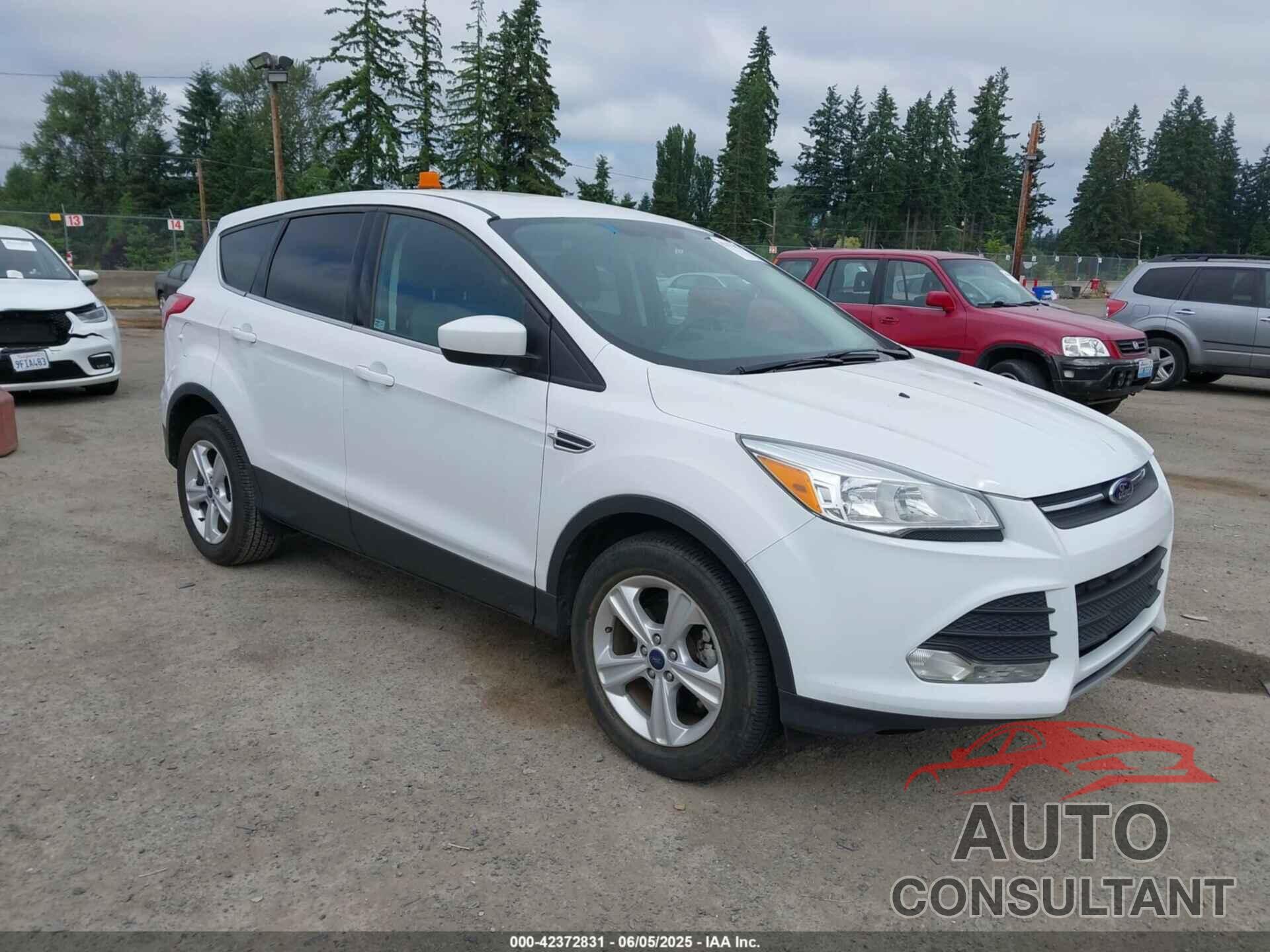 FORD ESCAPE 2014 - 1FMCU0GX4EUC76374
