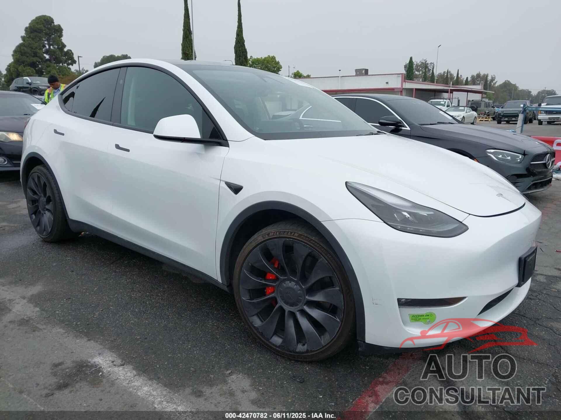 TESLA MODEL Y 2023 - 7SAYGDEF8PF800742