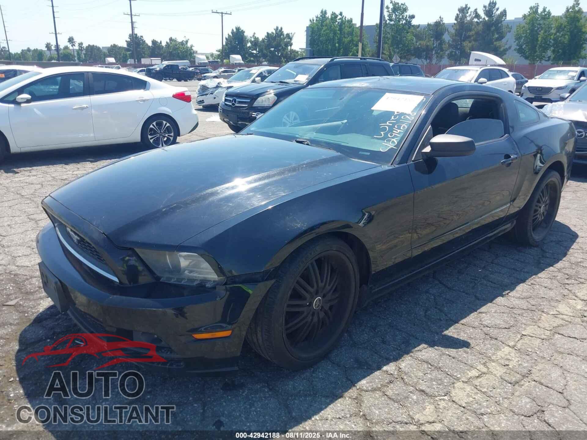 FORD MUSTANG 2014 - 1ZVBP8AMXE5294602