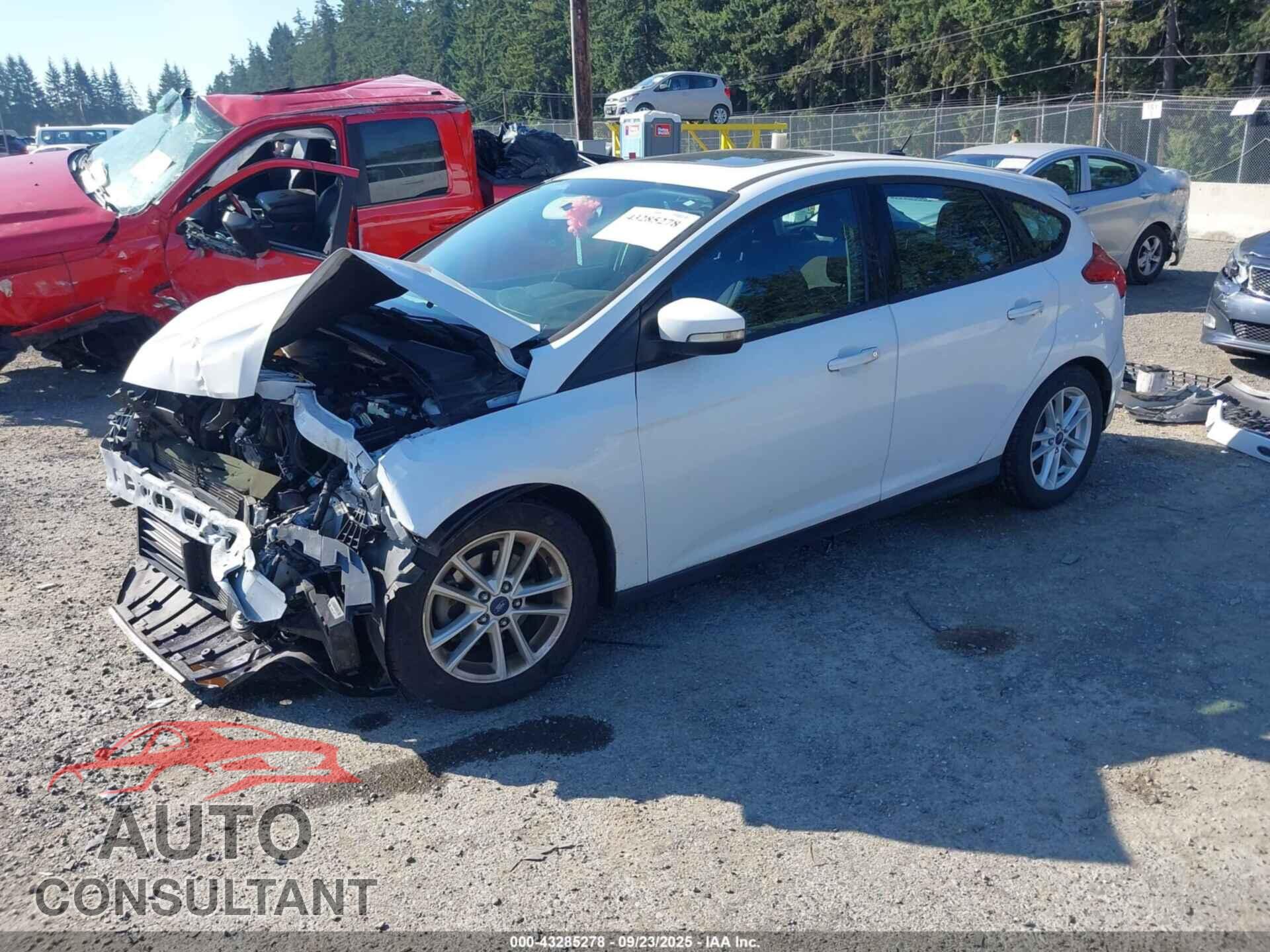 FORD FOCUS 2016 - 1FADP3K29GL306576