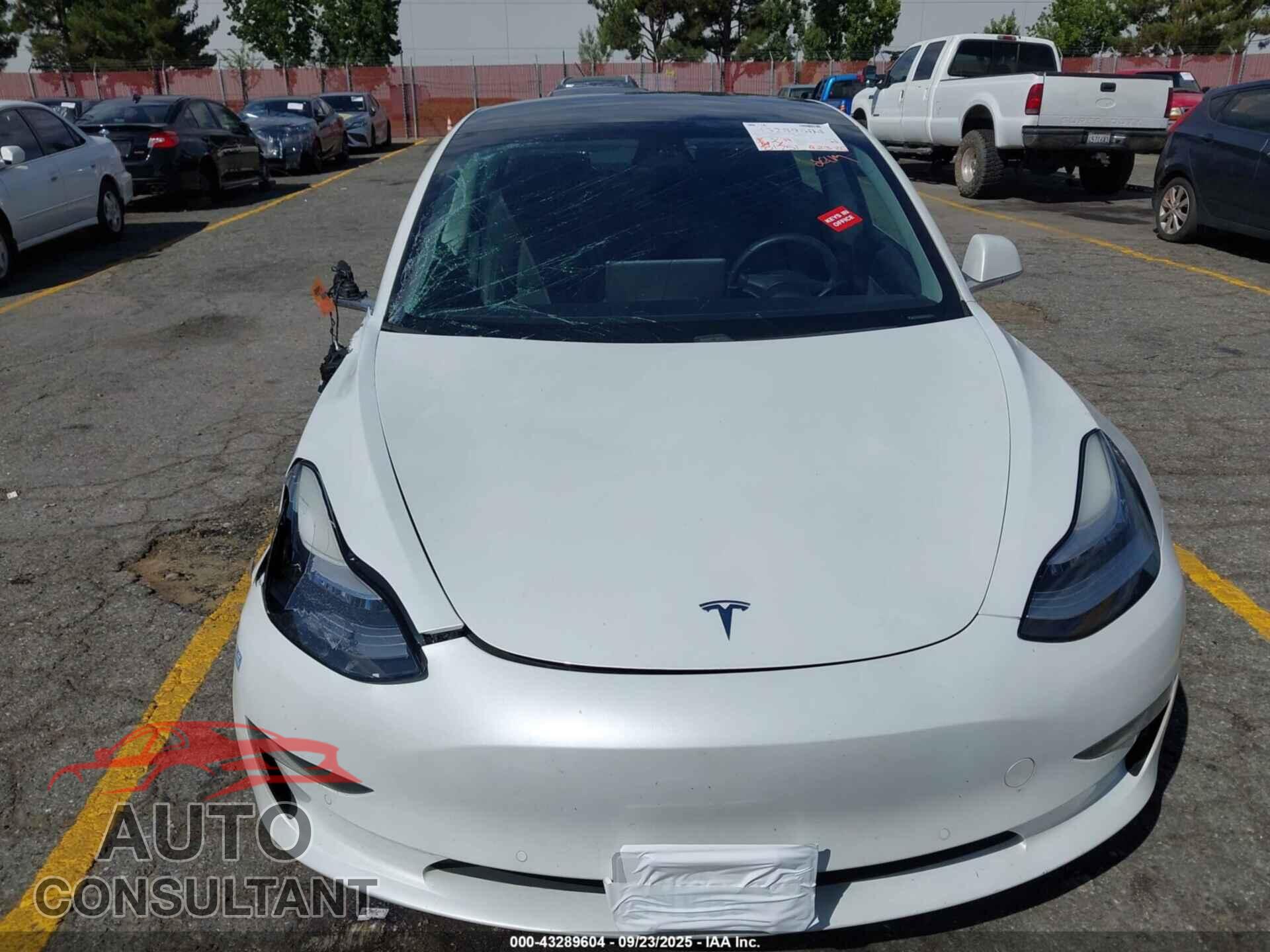 TESLA MODEL 3 2020 - 5YJ3E1EBXLF650183