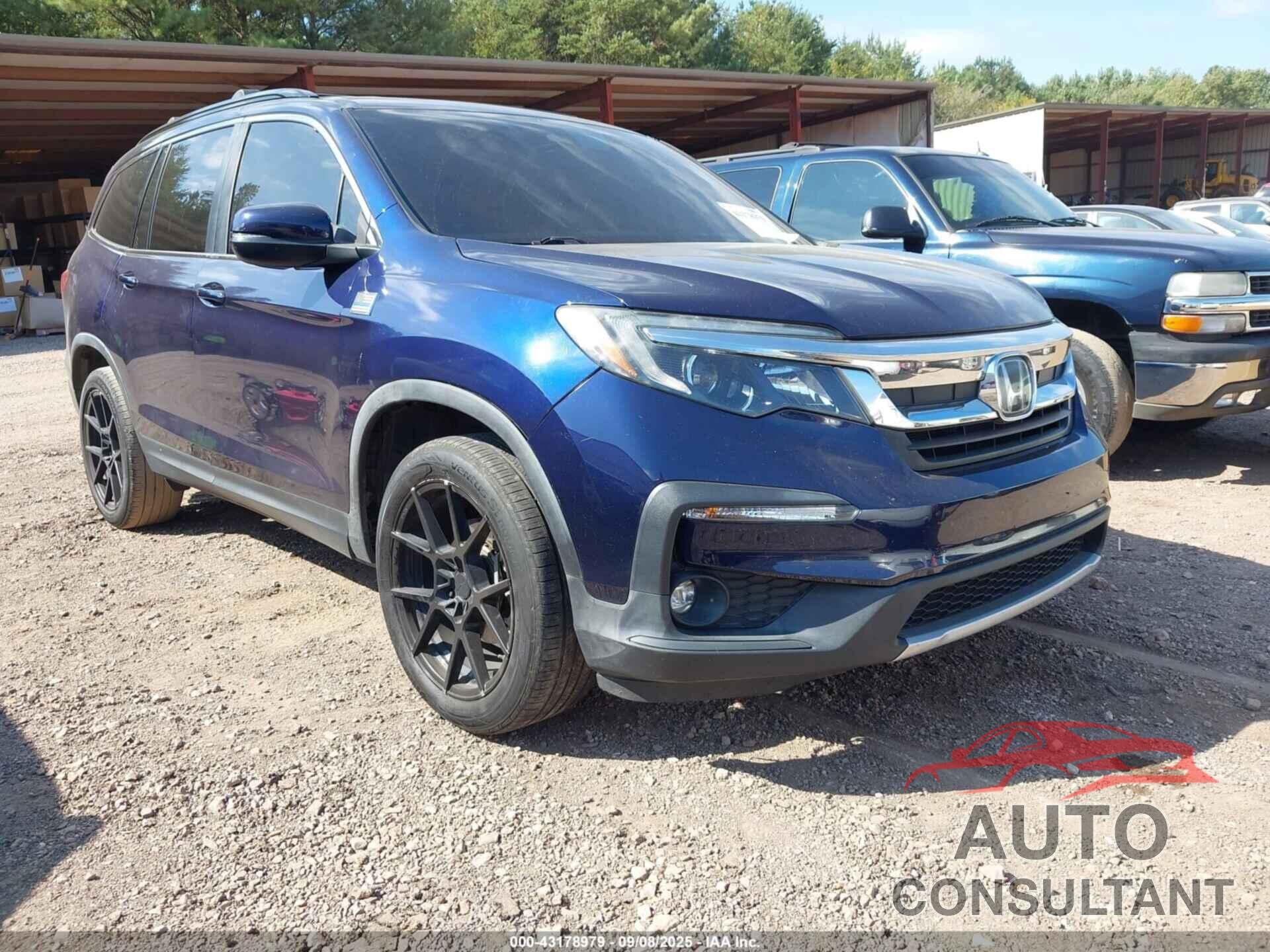 HONDA PILOT 2019 - 5FNYF5H56KB043938