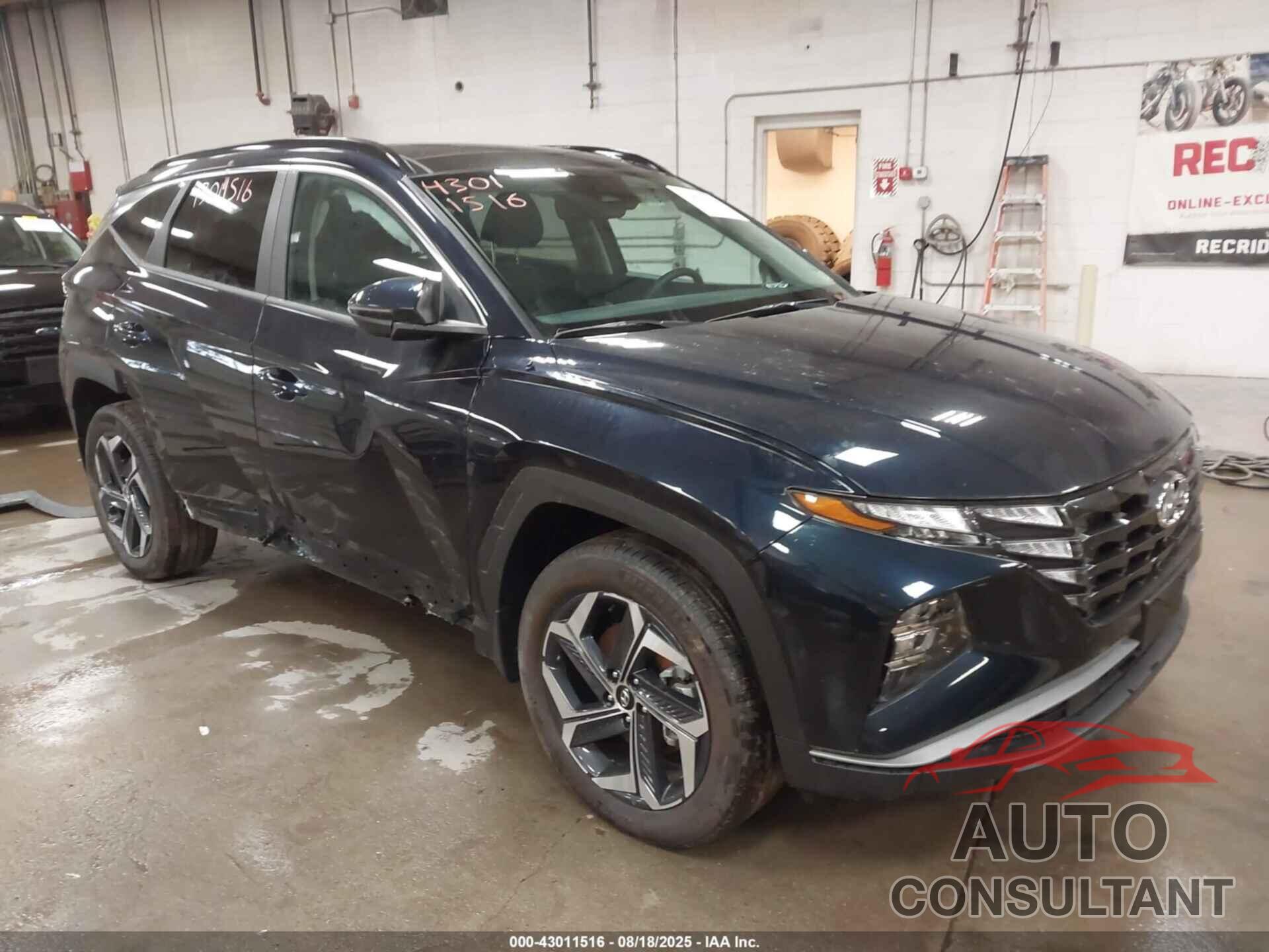 HYUNDAI TUCSON HYBRID 2024 - KM8JCCD13RU190216