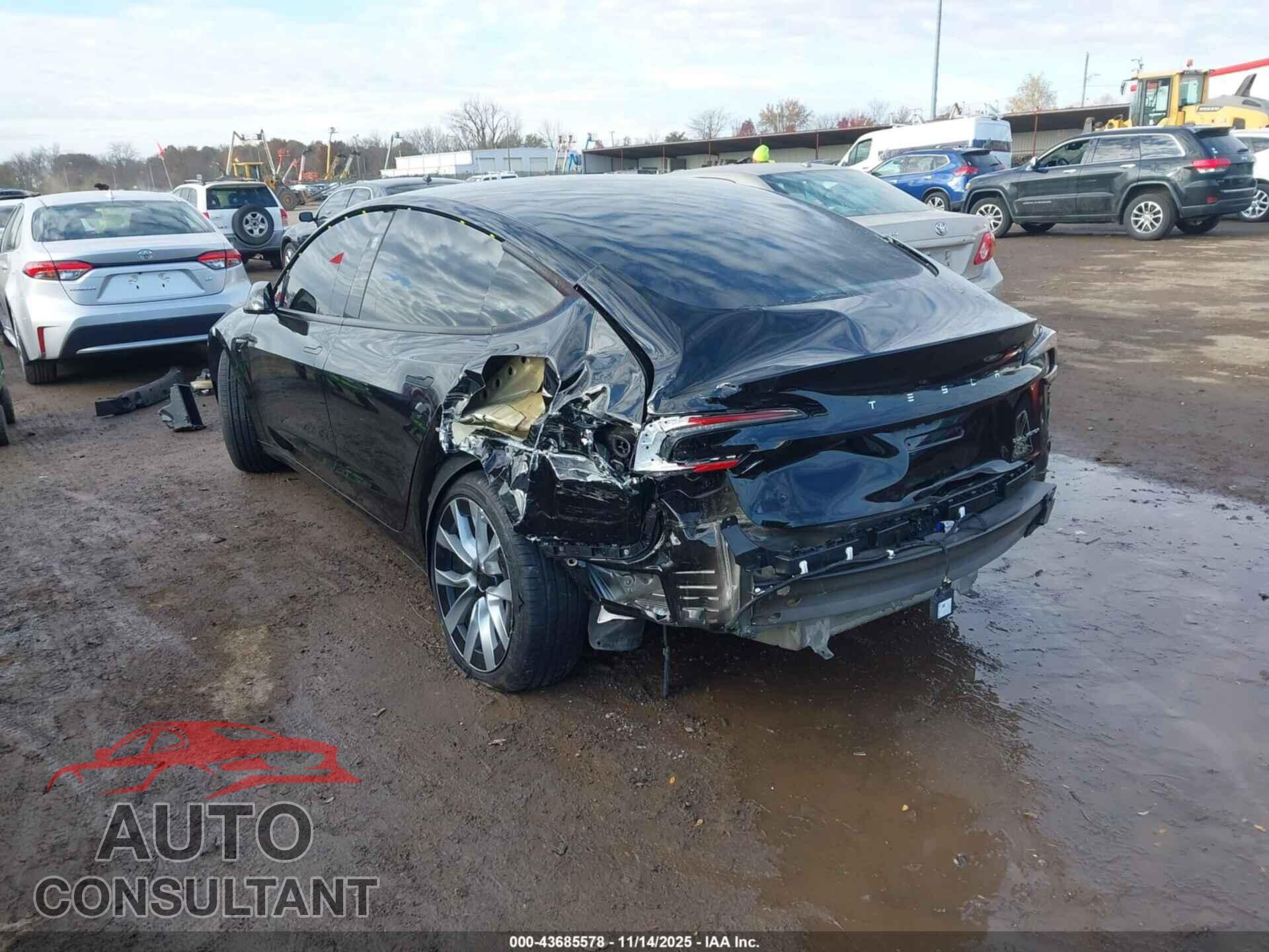 TESLA MODEL 3 2025 - 5YJ3E1EB8SF910076