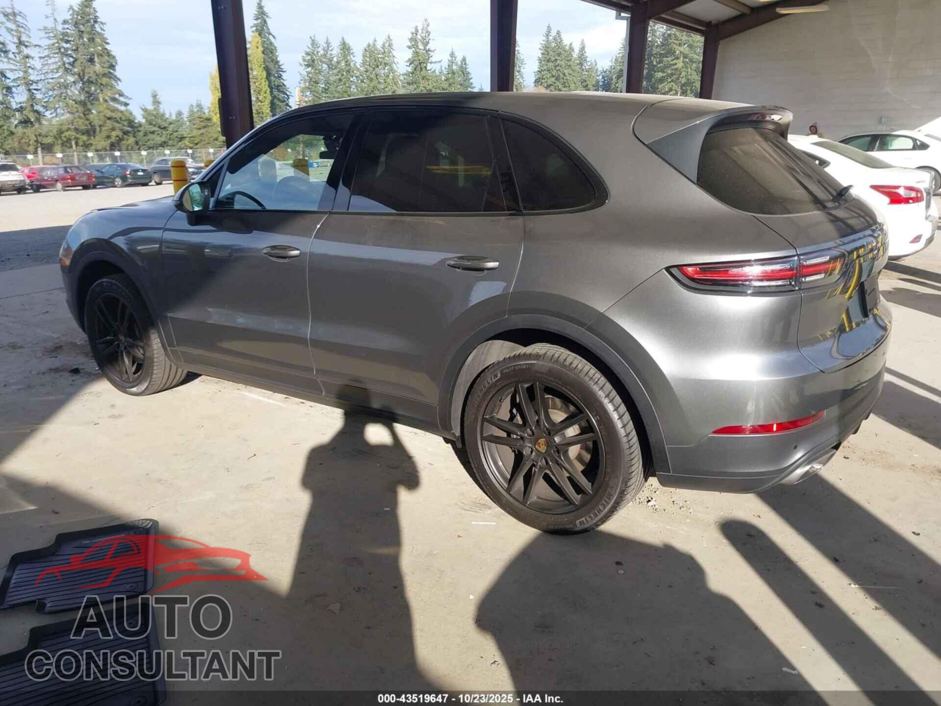 PORSCHE CAYENNE 2019 - WP1AA2AY6KDA13055