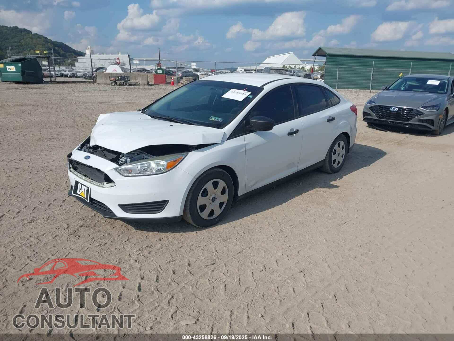 FORD FOCUS 2016 - 1FADP3E26GL292793