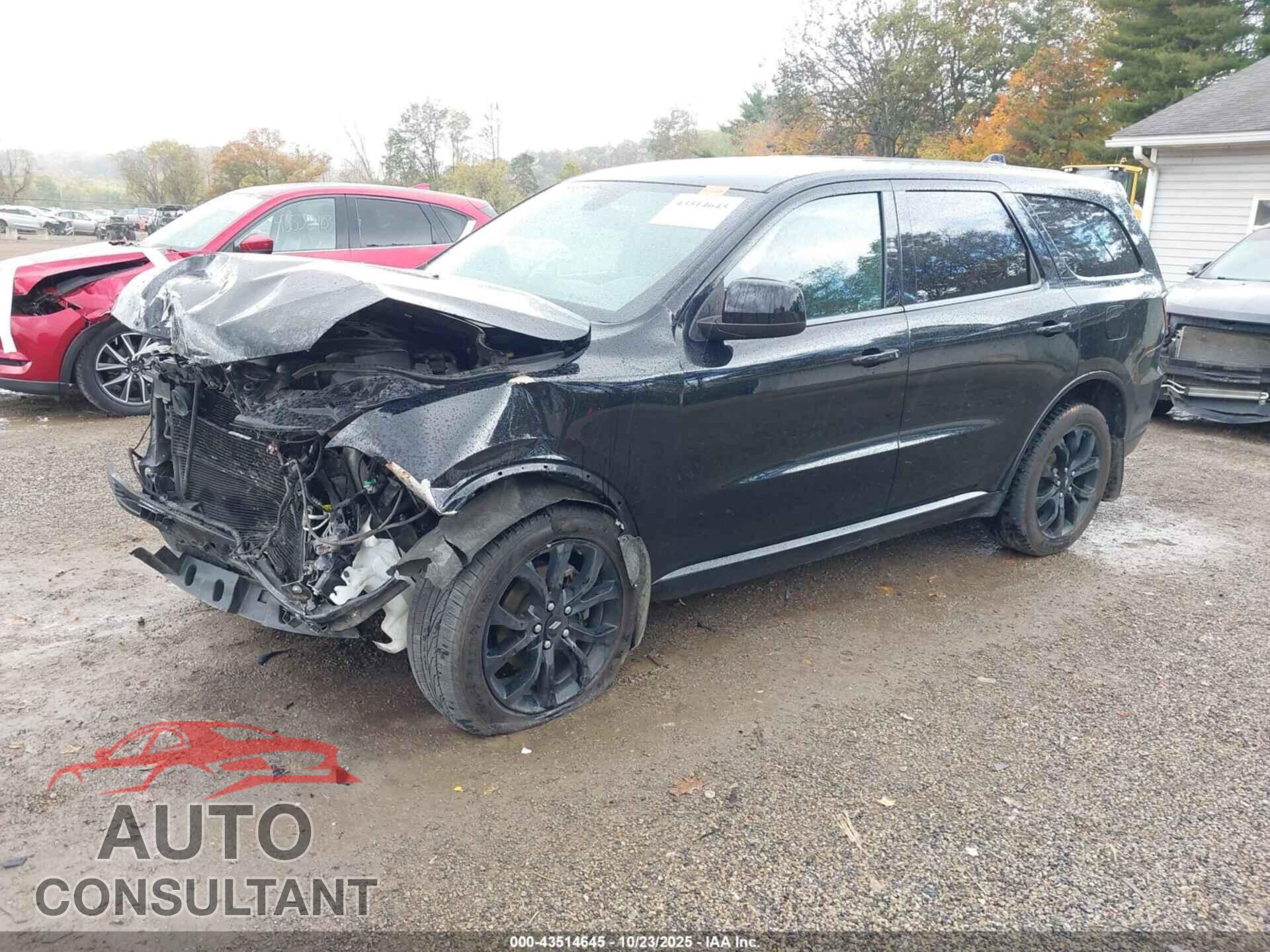 DODGE DURANGO 2019 - 1C4RDJAG6KC848205