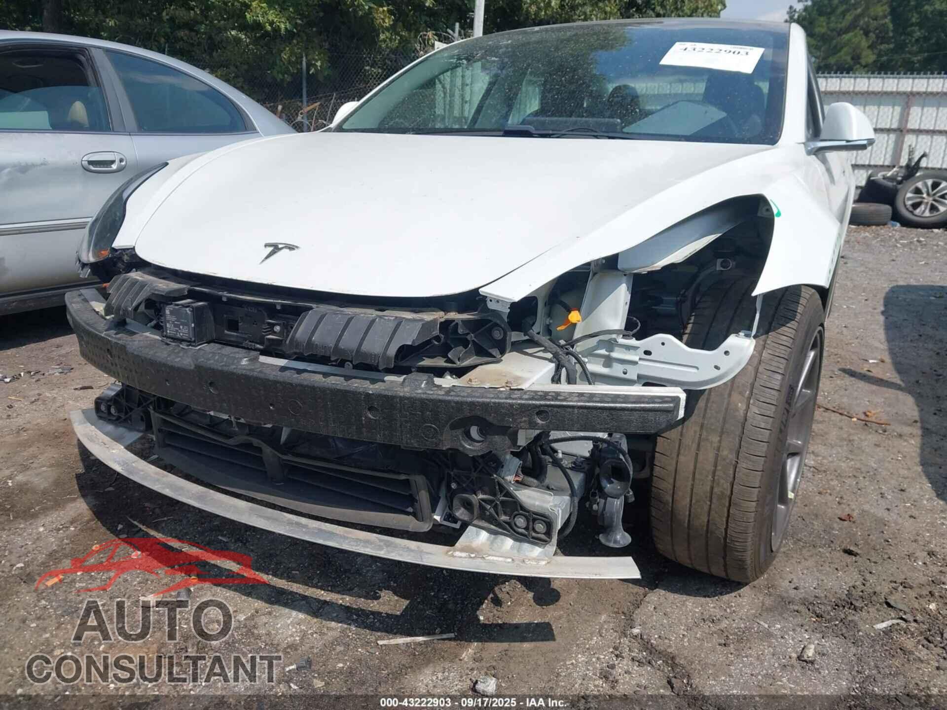 TESLA MODEL 3 2019 - 5YJ3E1EA8KF482825