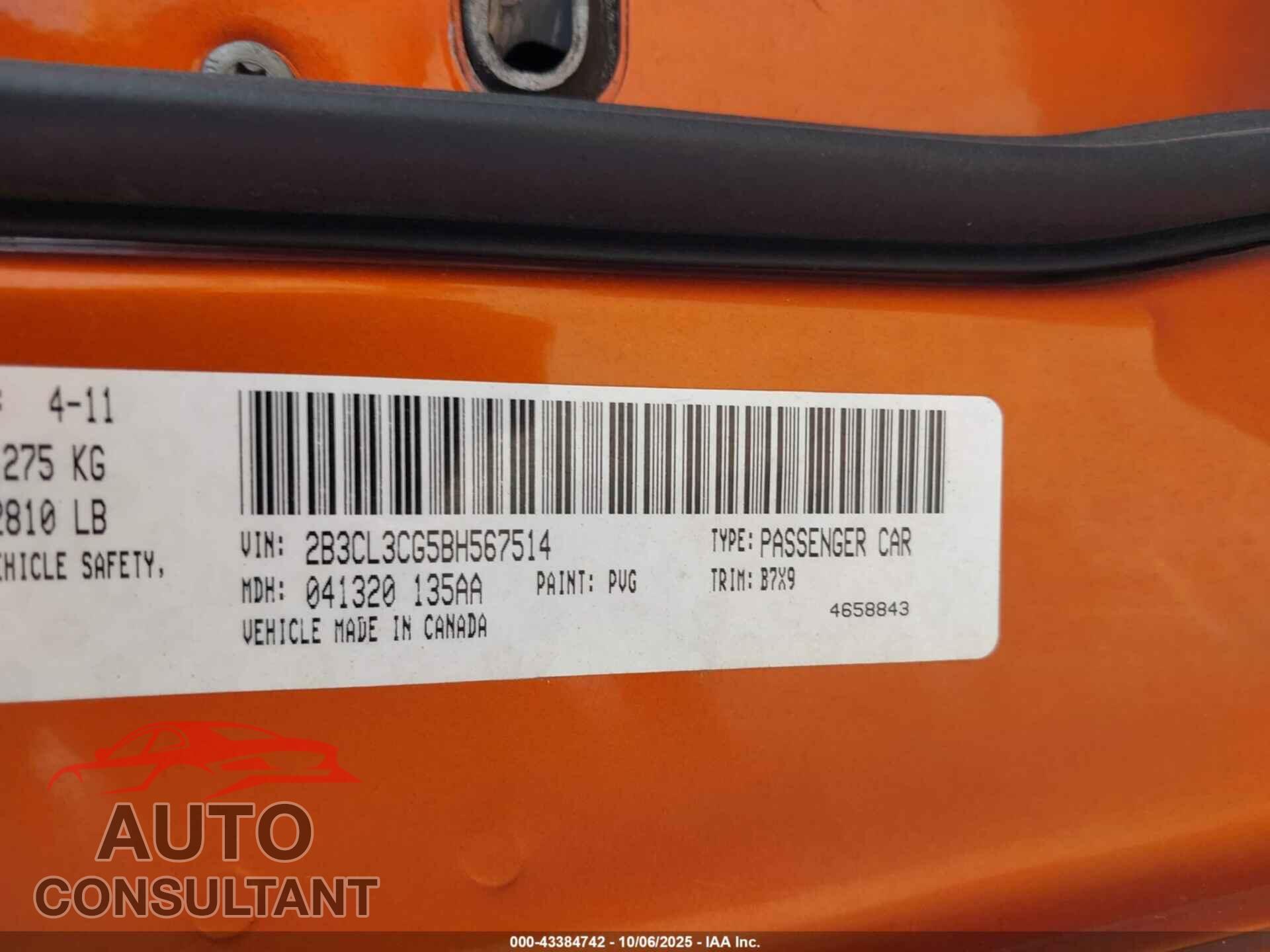 DODGE CHARGER 2011 - 2B3CL3CG5BH567514