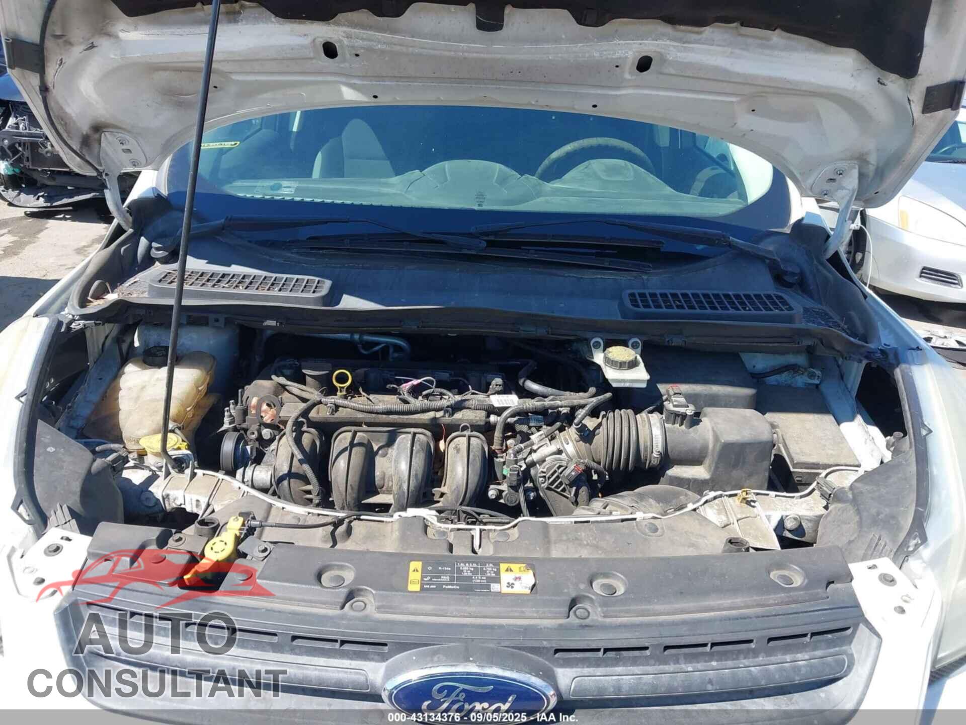 FORD ESCAPE 2013 - 1FMCU0F73DUD86297