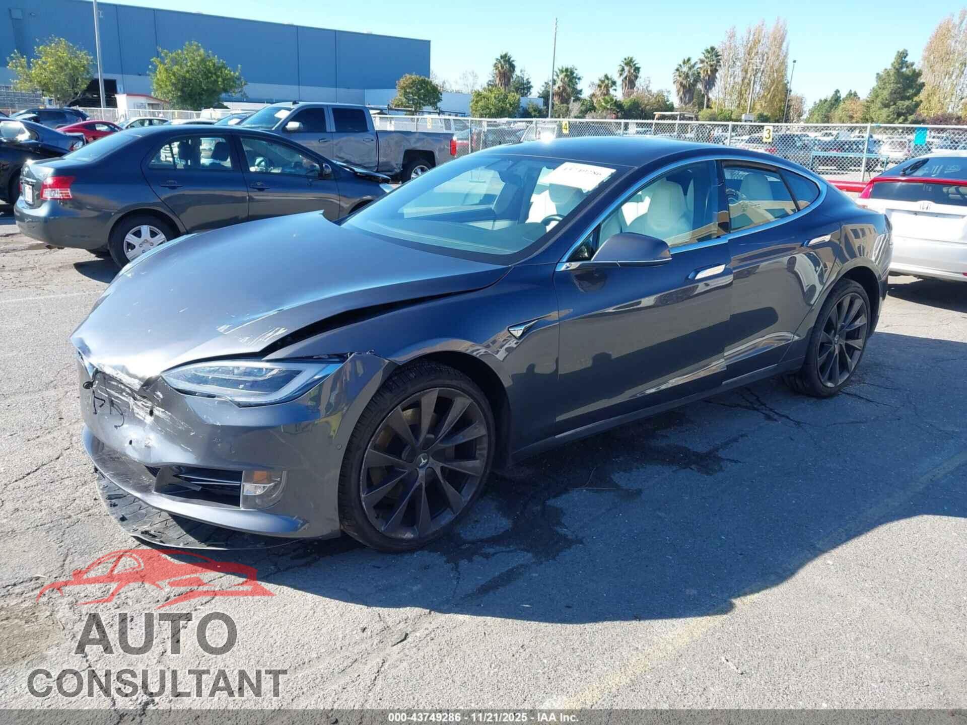 TESLA MODEL S 2019 - 5YJSA1E25KF306895