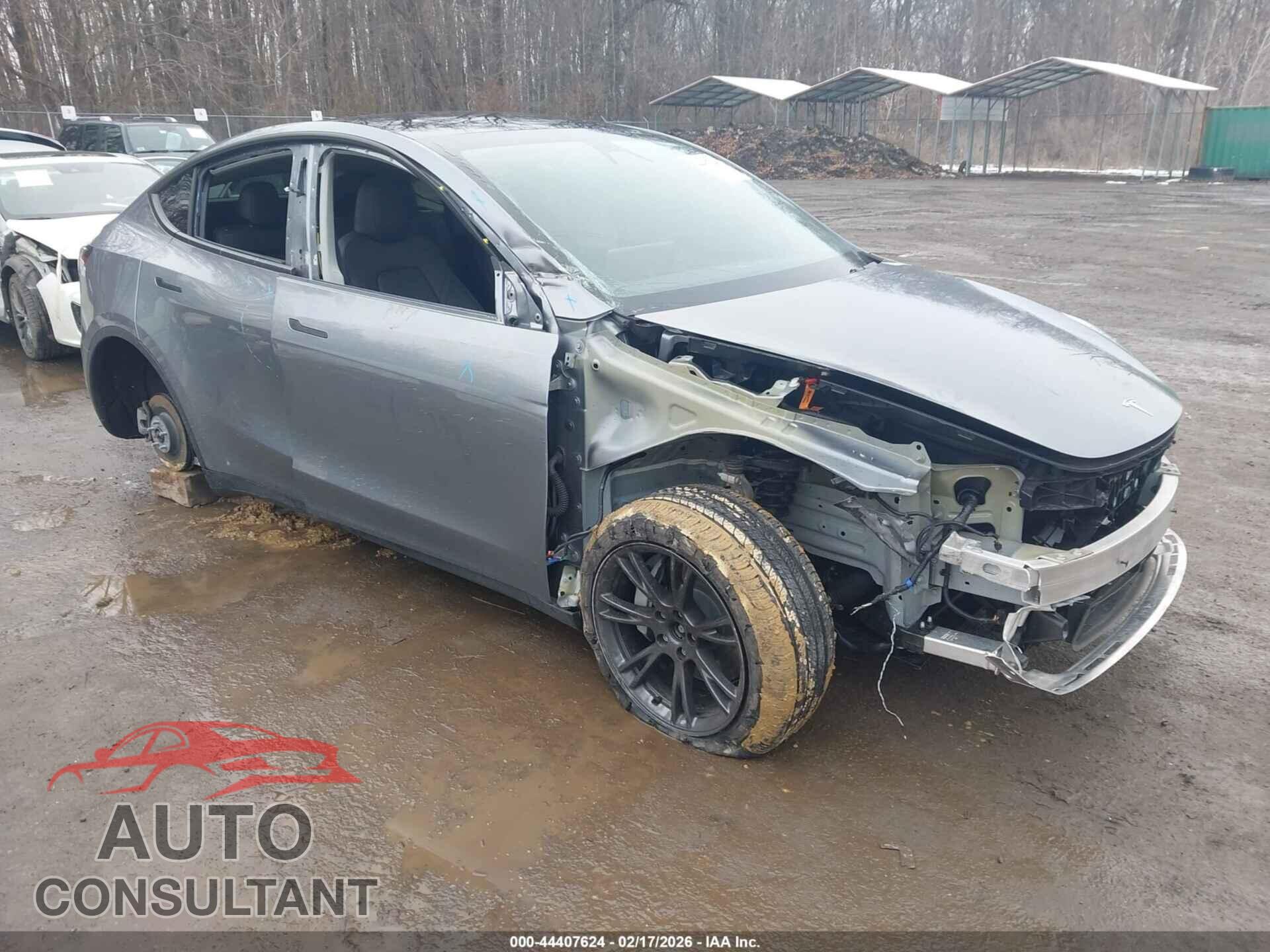 TESLA MODEL Y 2024 - 7SAYGDEE1RF199748
