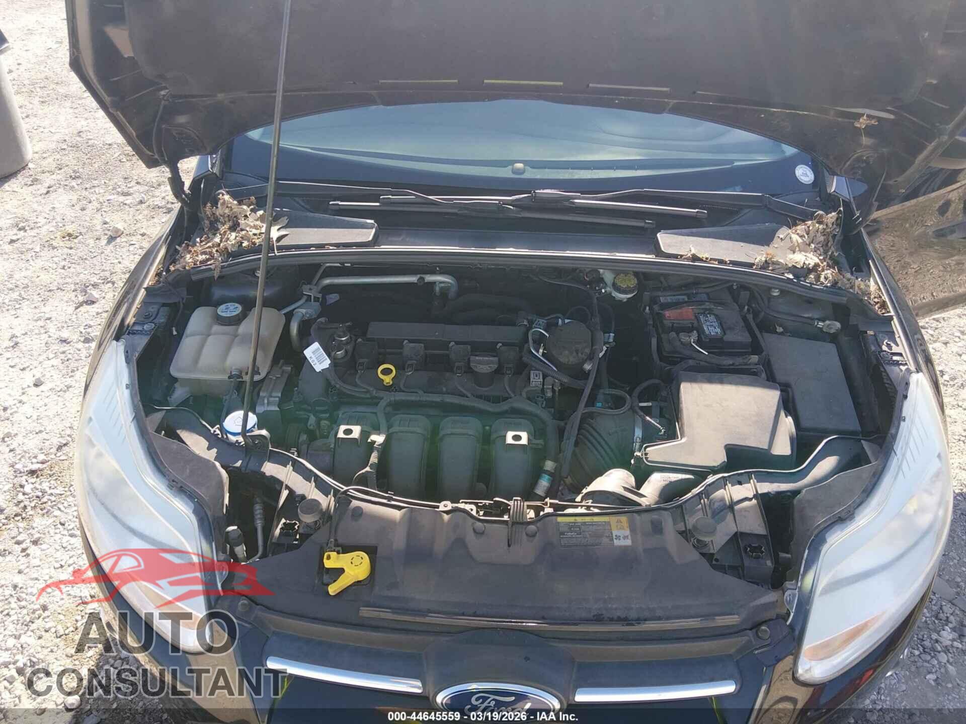 FORD FOCUS 2012 - 1FAHP3F21CL404071