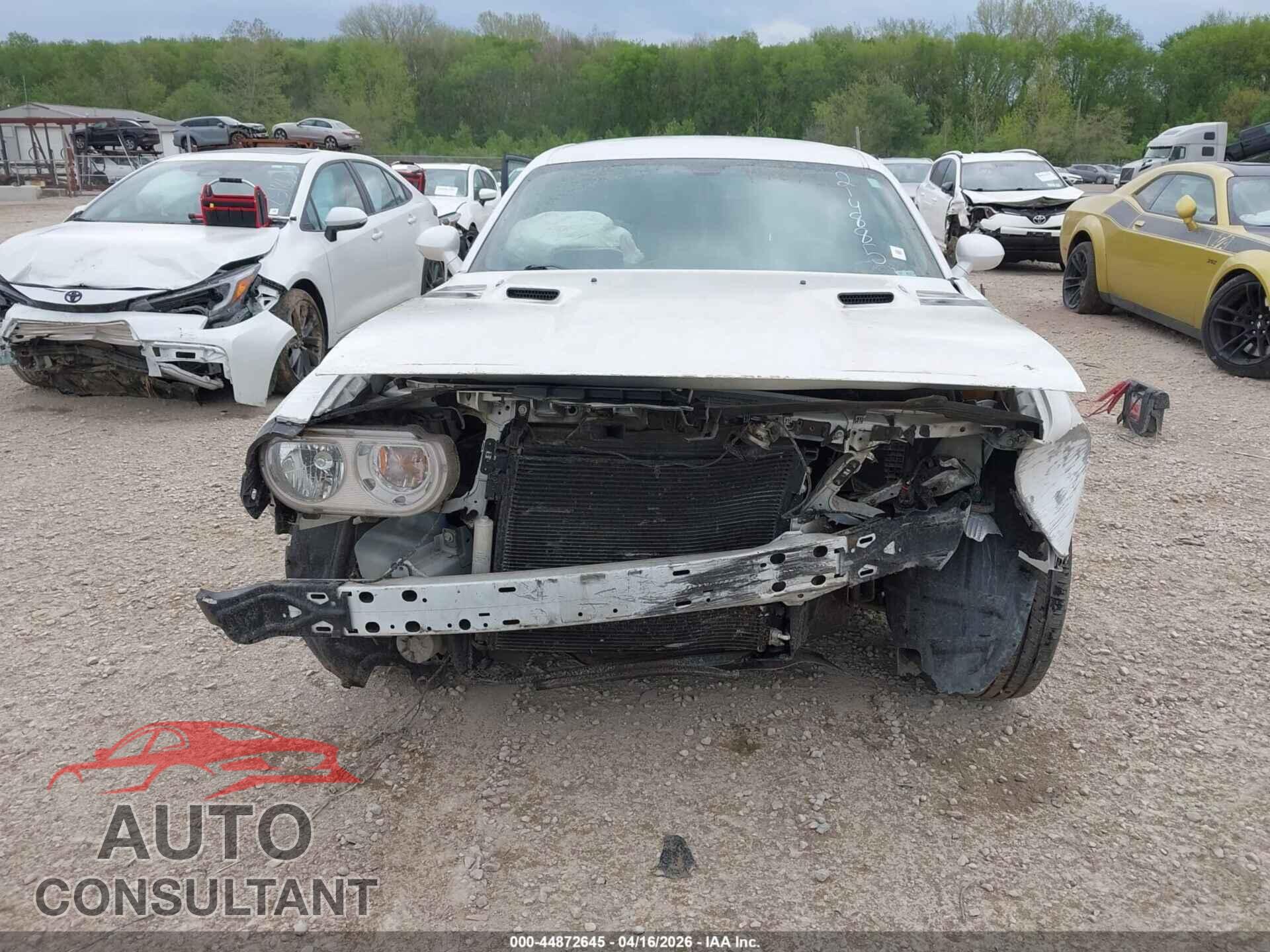 DODGE CHALLENGER 2014 - 2C3CDYBT7EH214885