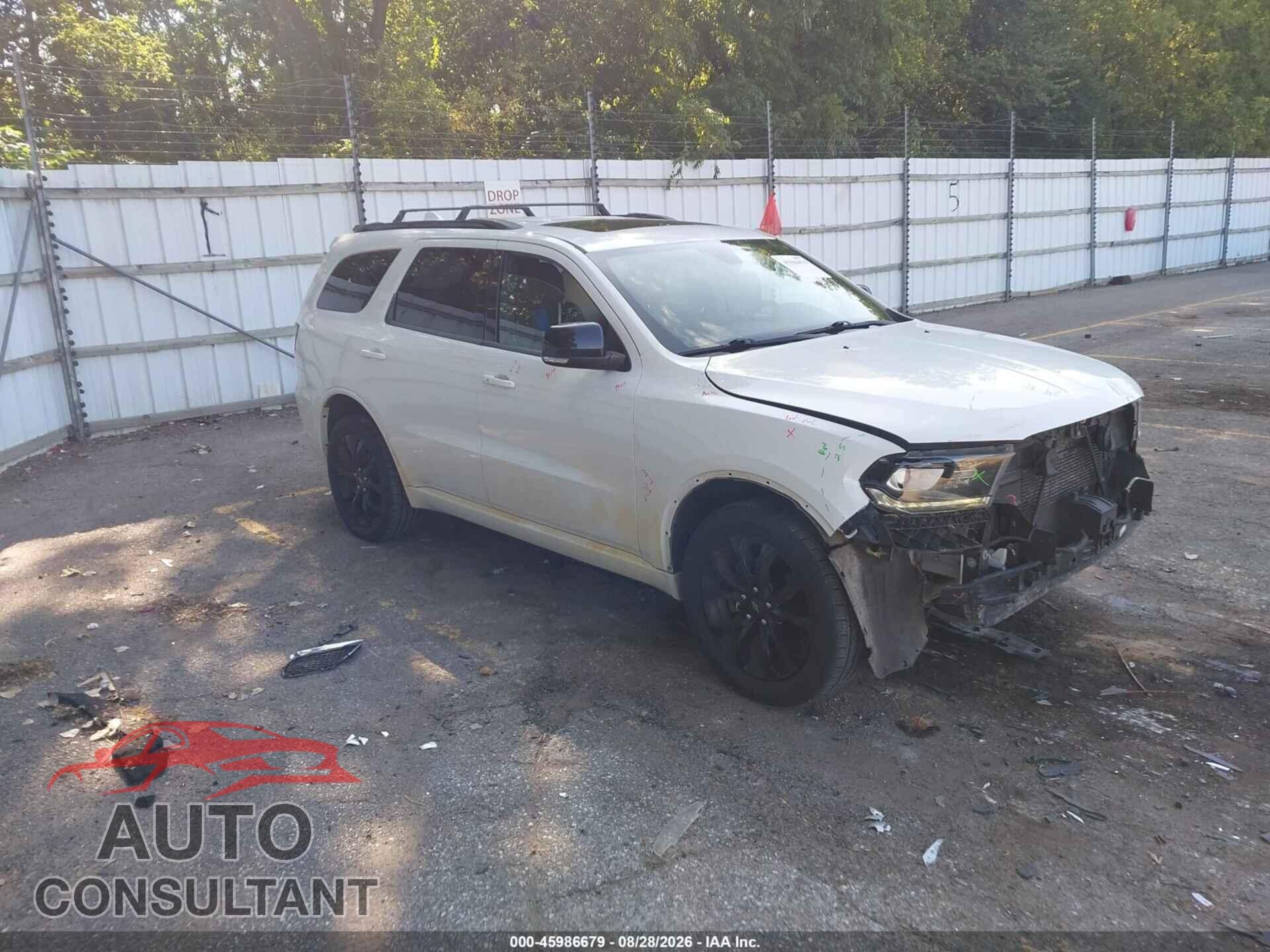 DODGE DURANGO 2019 - 1C4RDJDG0KC828074