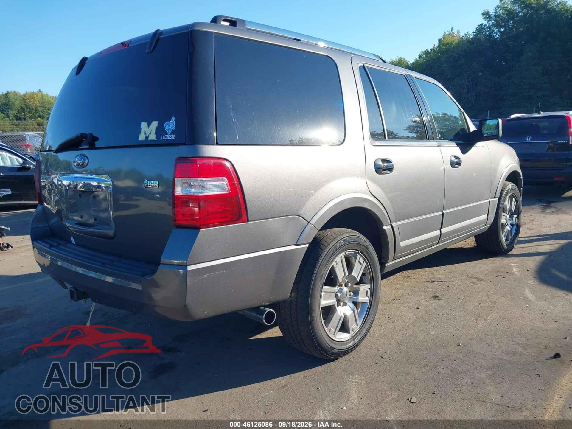 FORD EXPEDITION 2010 - 1FMJU2A52AEB63084
