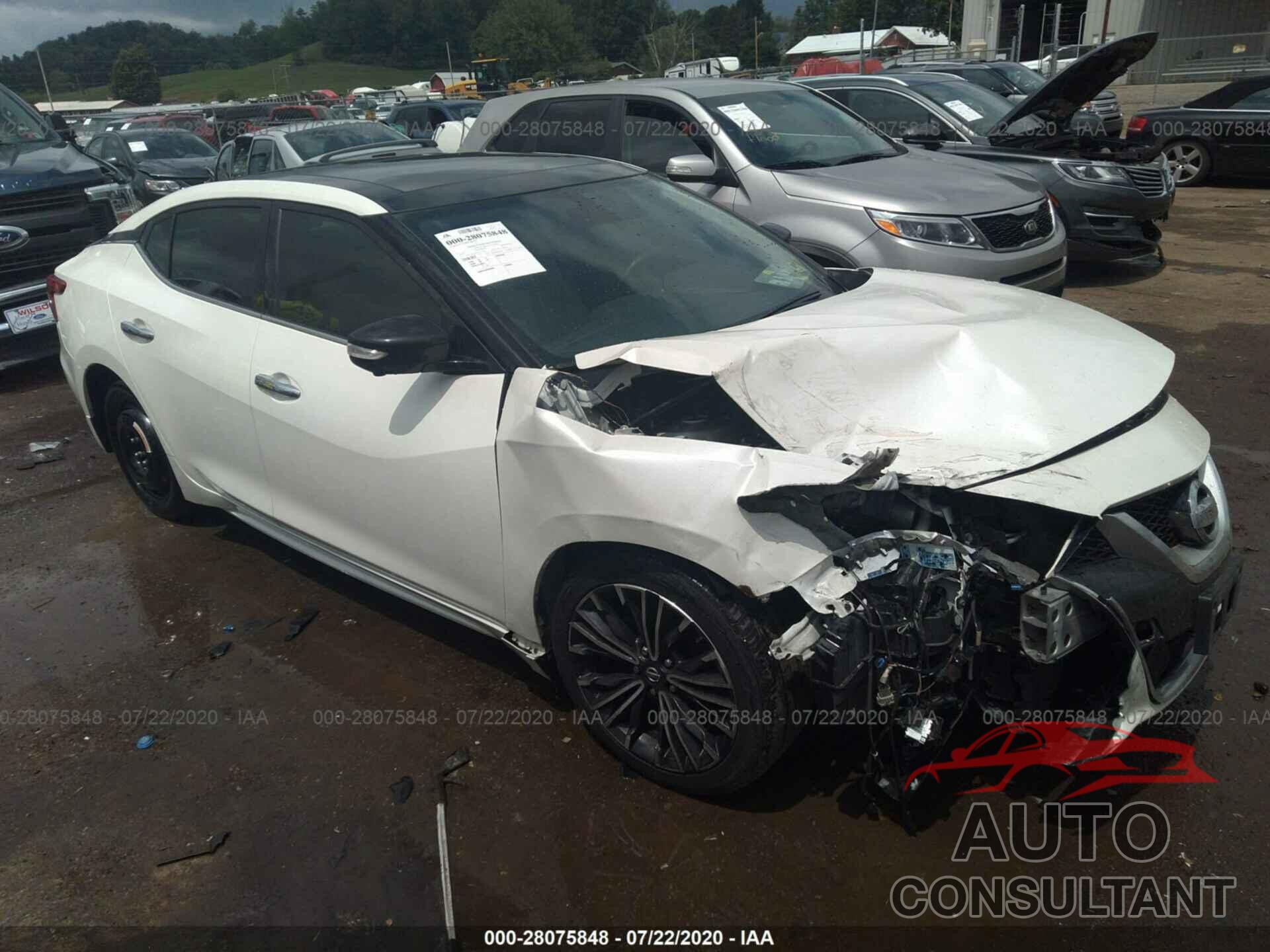 Nissan Maxima 2017 - 1N4AA6AP7HC447263